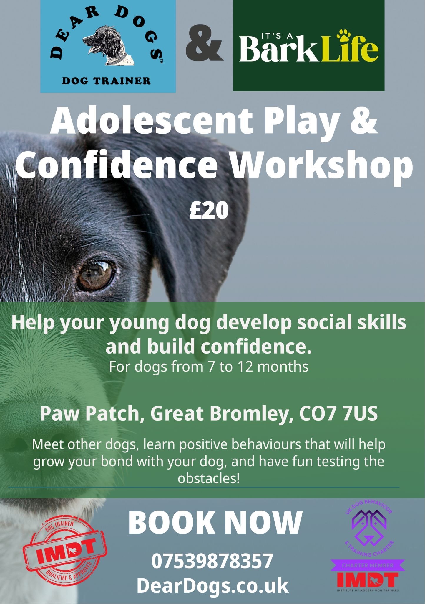 Adolescent Confidence Workshop