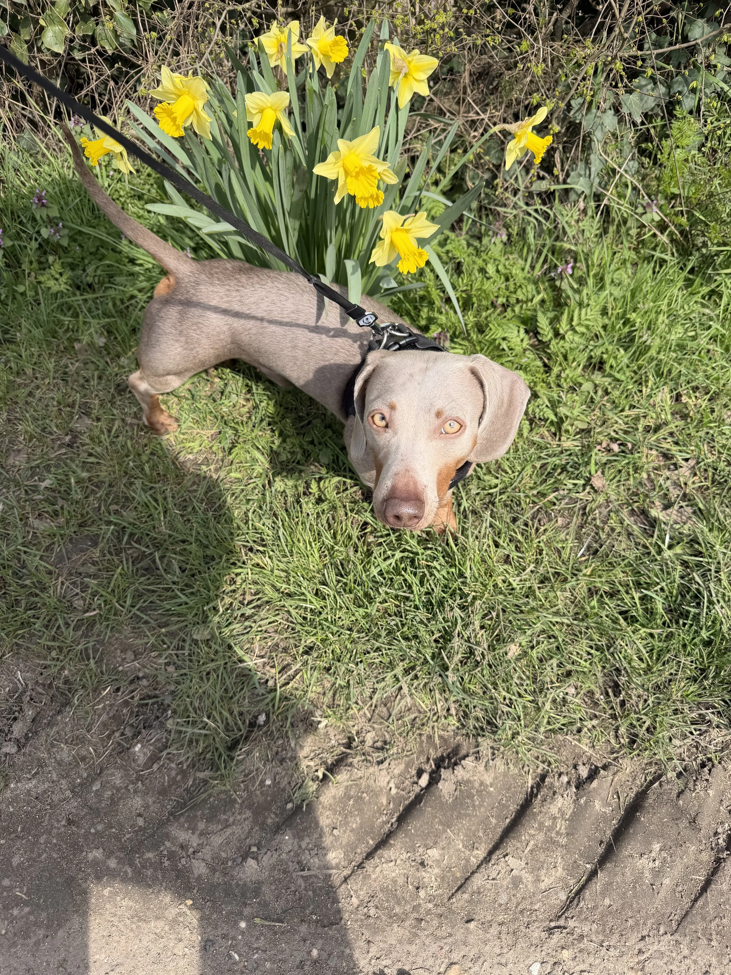 IMG_5778.jpeg