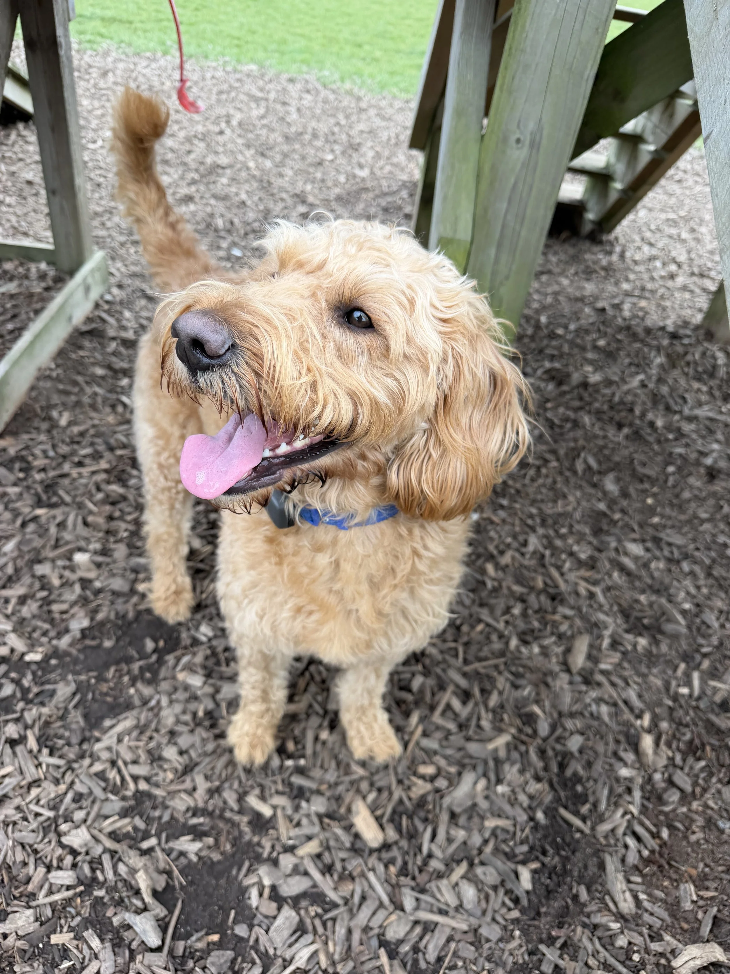 IMG_6112.jpeg