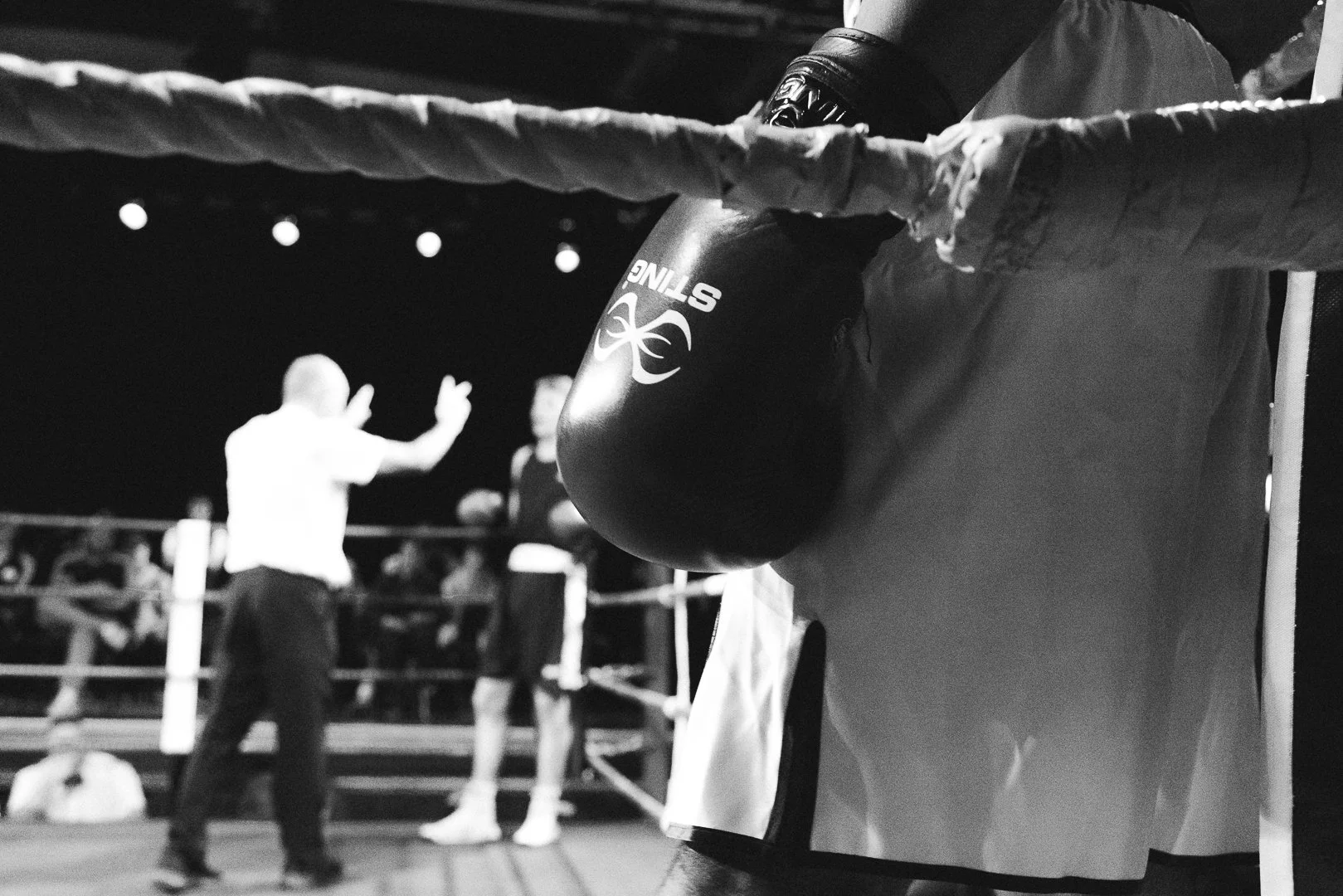 Lympstone ABC_Show-250.jpg