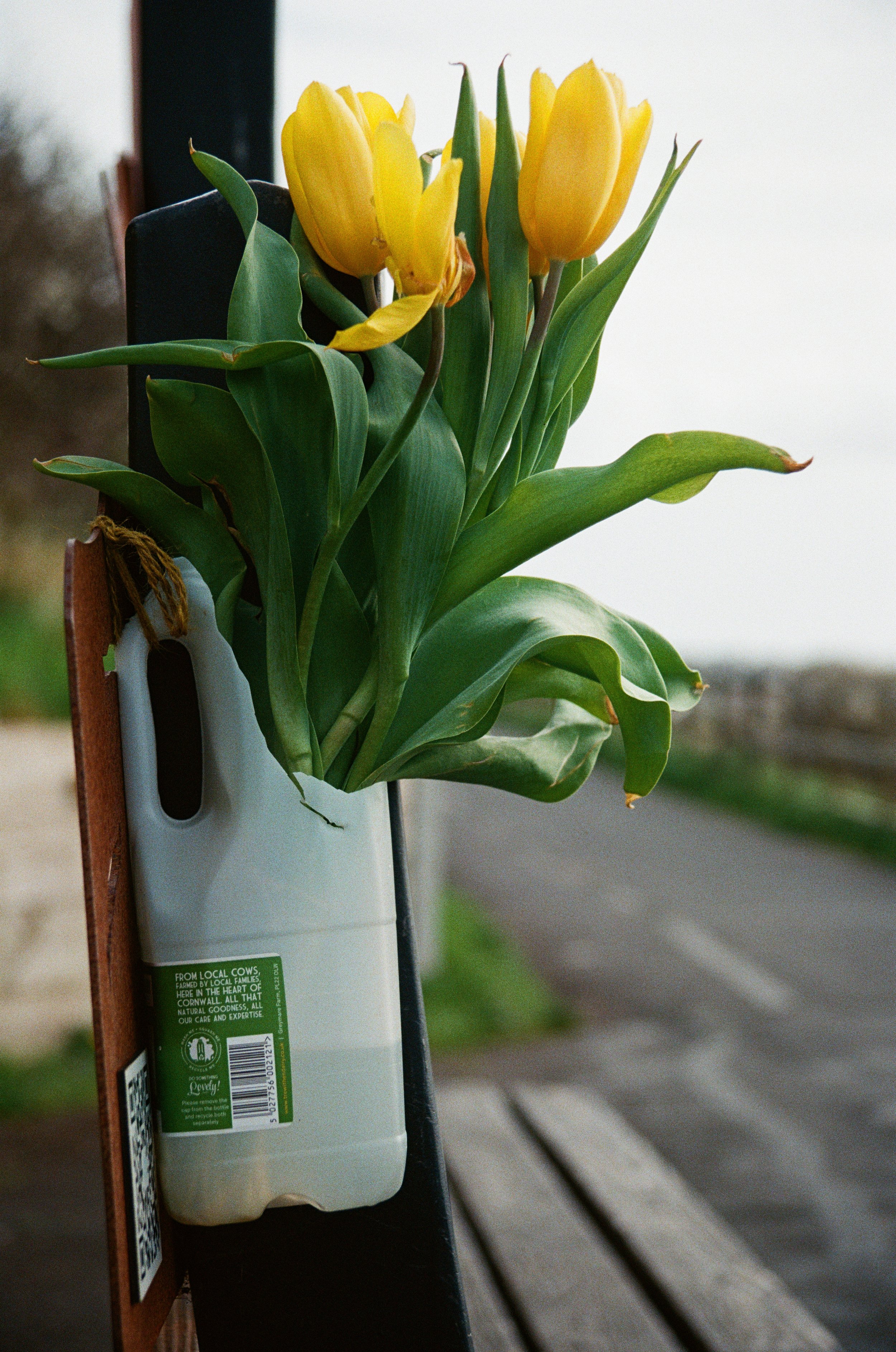 004-f9bb1.jpg