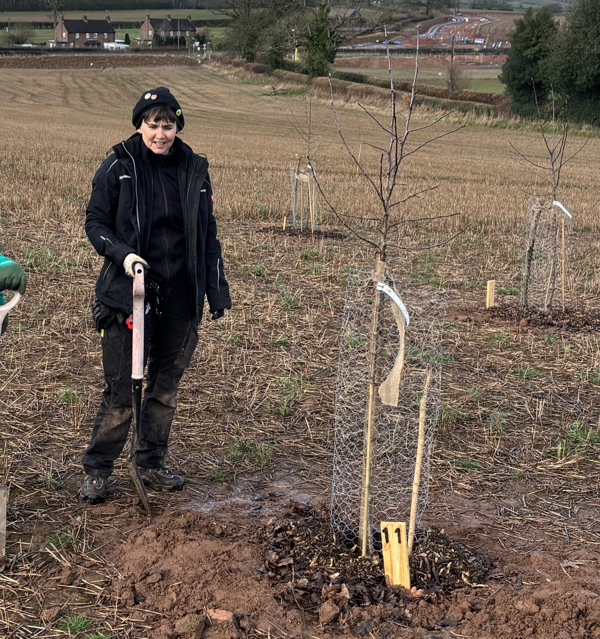 A woman in outdoor clothing and gloves stands with a gardening tool by a newly planted young tree protected by a wire cage in a cultivated field with more young trees and distant houses visible.
