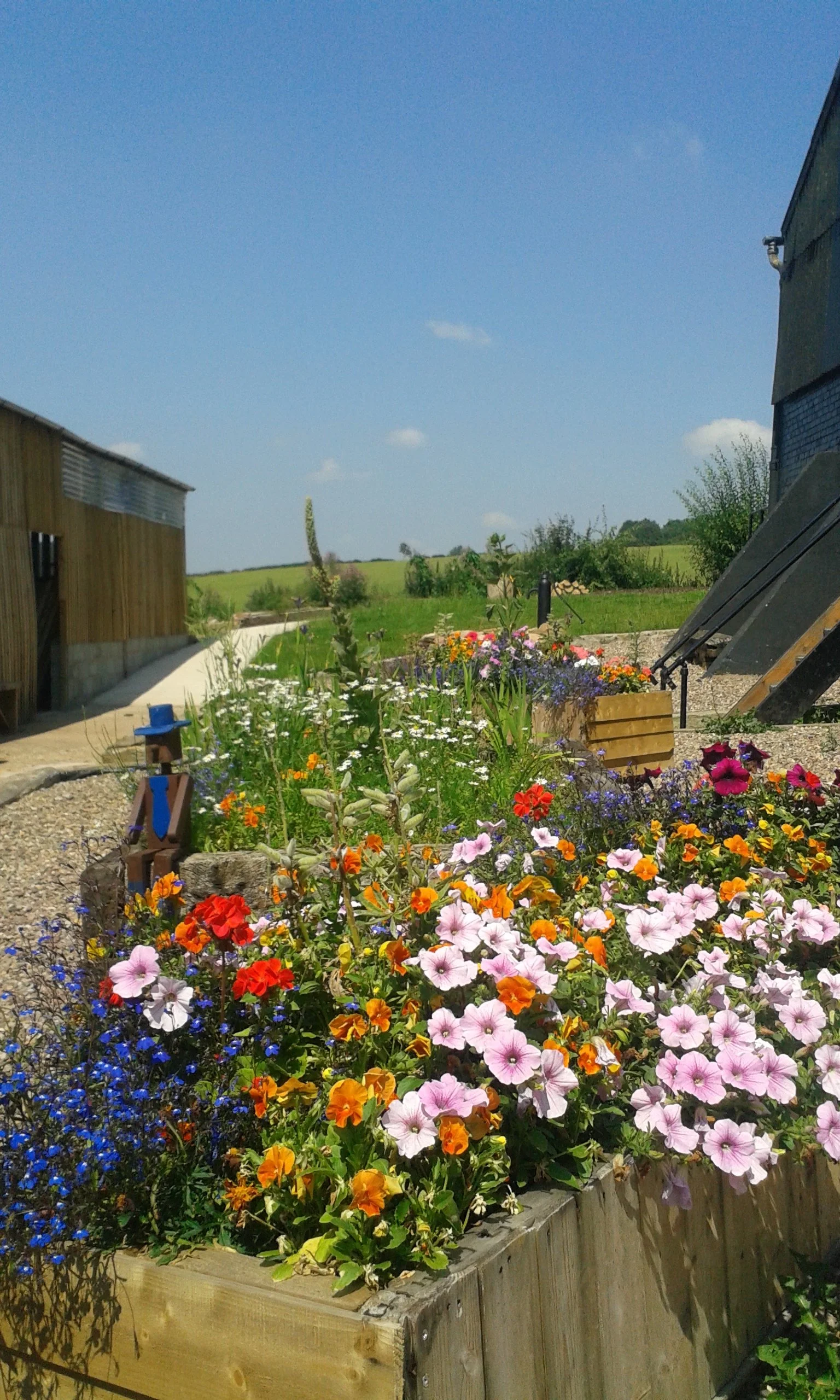 Colorful flower garden with various blooming flowers in a wooden planter box, a small decorative birdhouse, and a rural landscape with buildings and green fields under a blue sky.