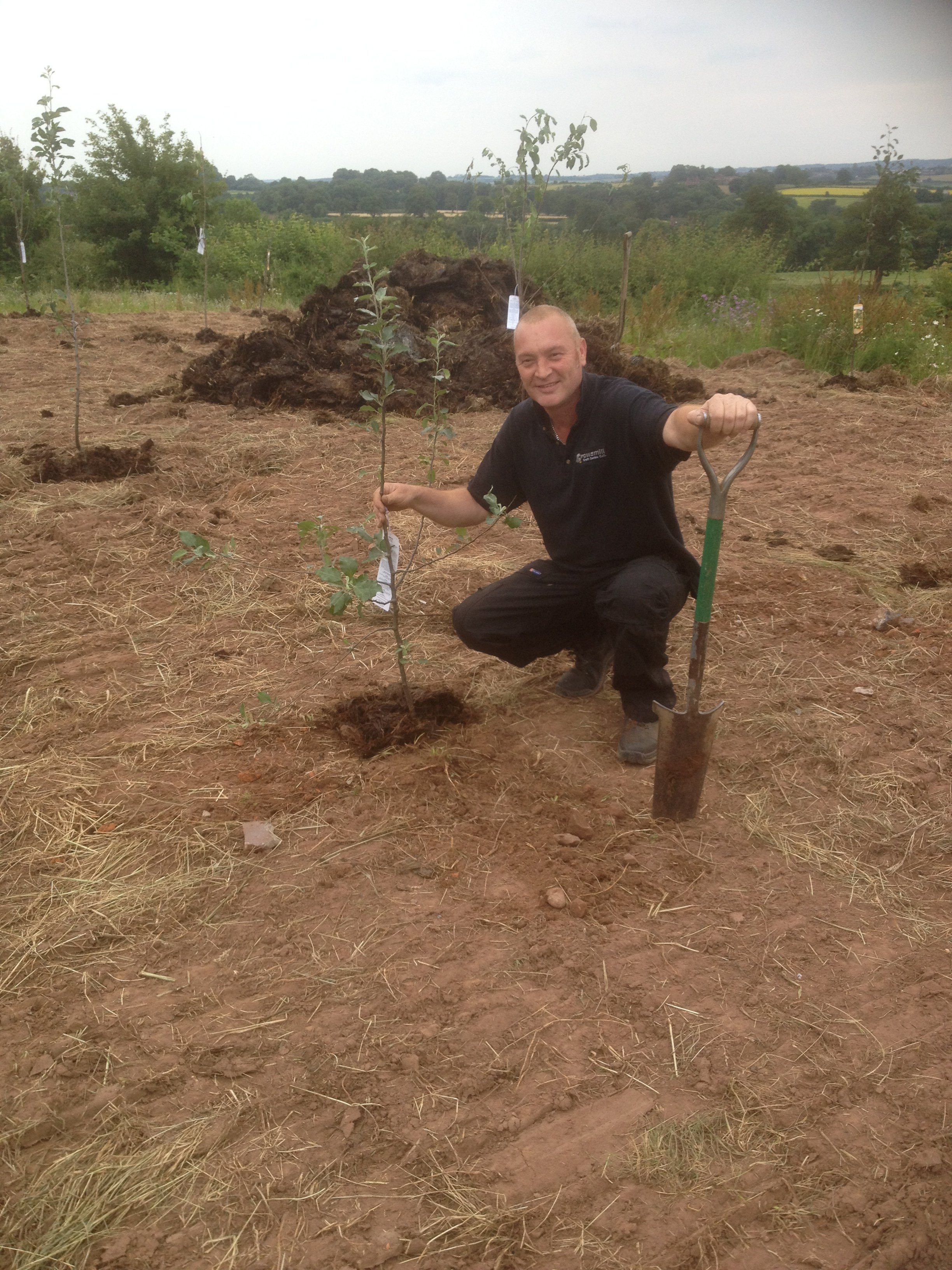 A man kneeling on the ground holding a small tree and a shovel in a field with other young trees and a mound of soil behind him.