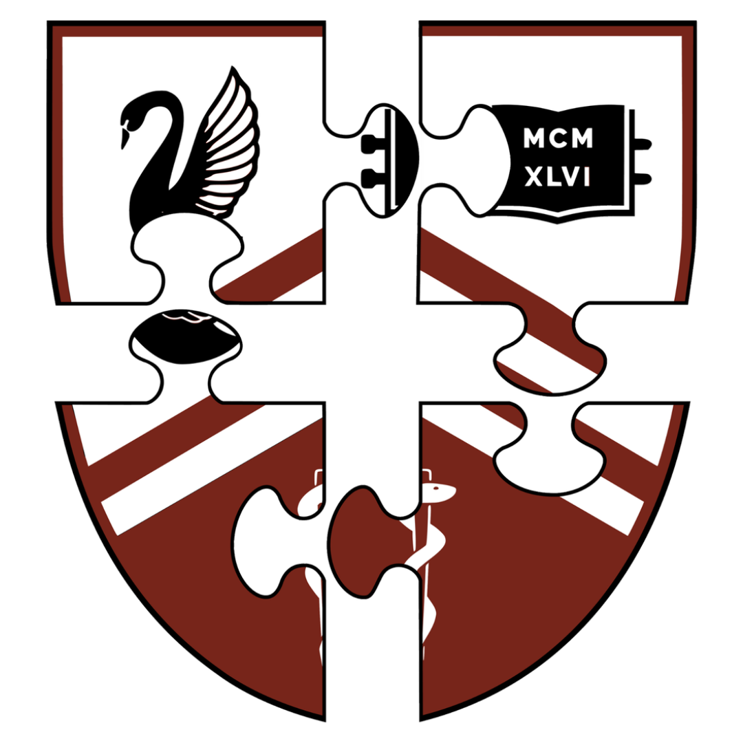 WAMSS Connect Logo square.png