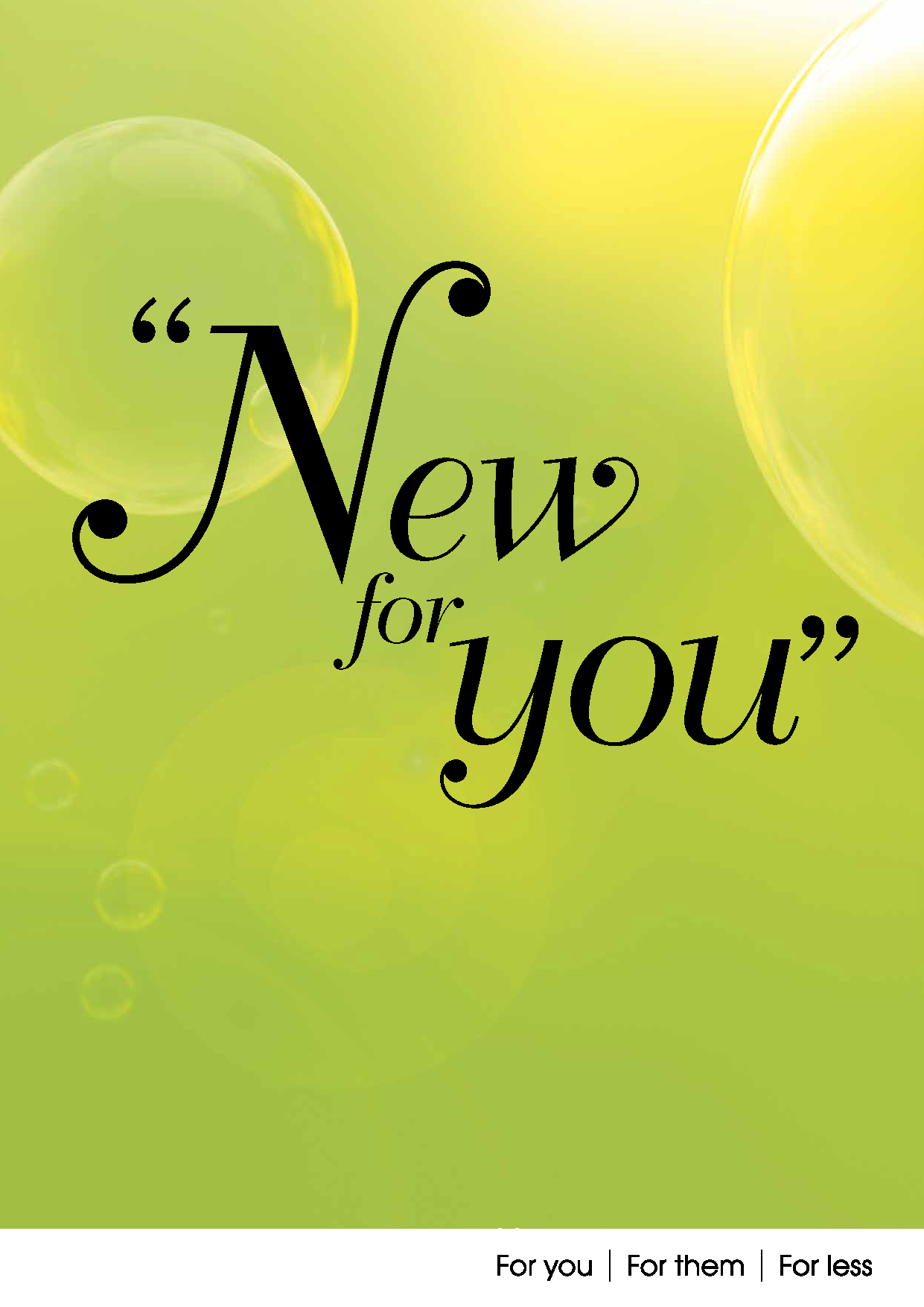 3310 WDF Summer 2013_A4_AW LR.png