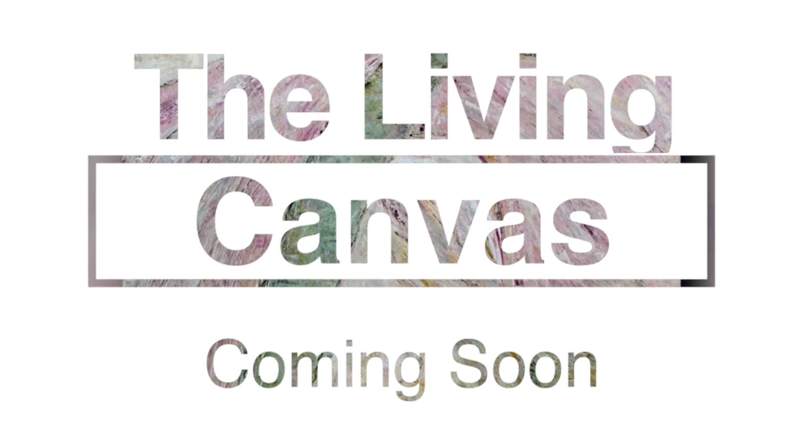 Witnessing the Unseen Life of Art: A Documentary Project