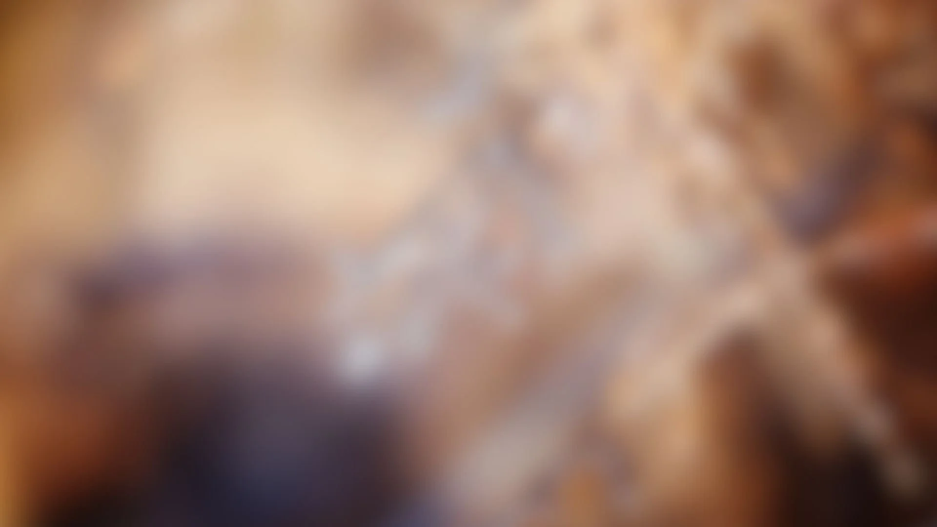 Coming home to the body