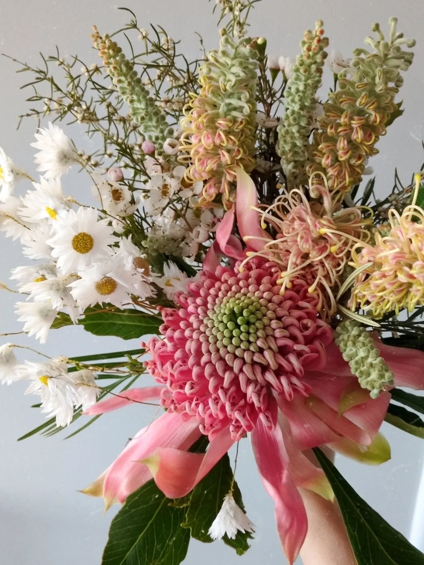 Pink waratah and springtime wildflowers 🥰 💕 how amazing are Australian native wildflowers 💚🩷

I'm manifesting more wildflower weddings this year🤞 if your wedding is coming up and you love natives, enquiry form is in bio, you know what to do 😉💌