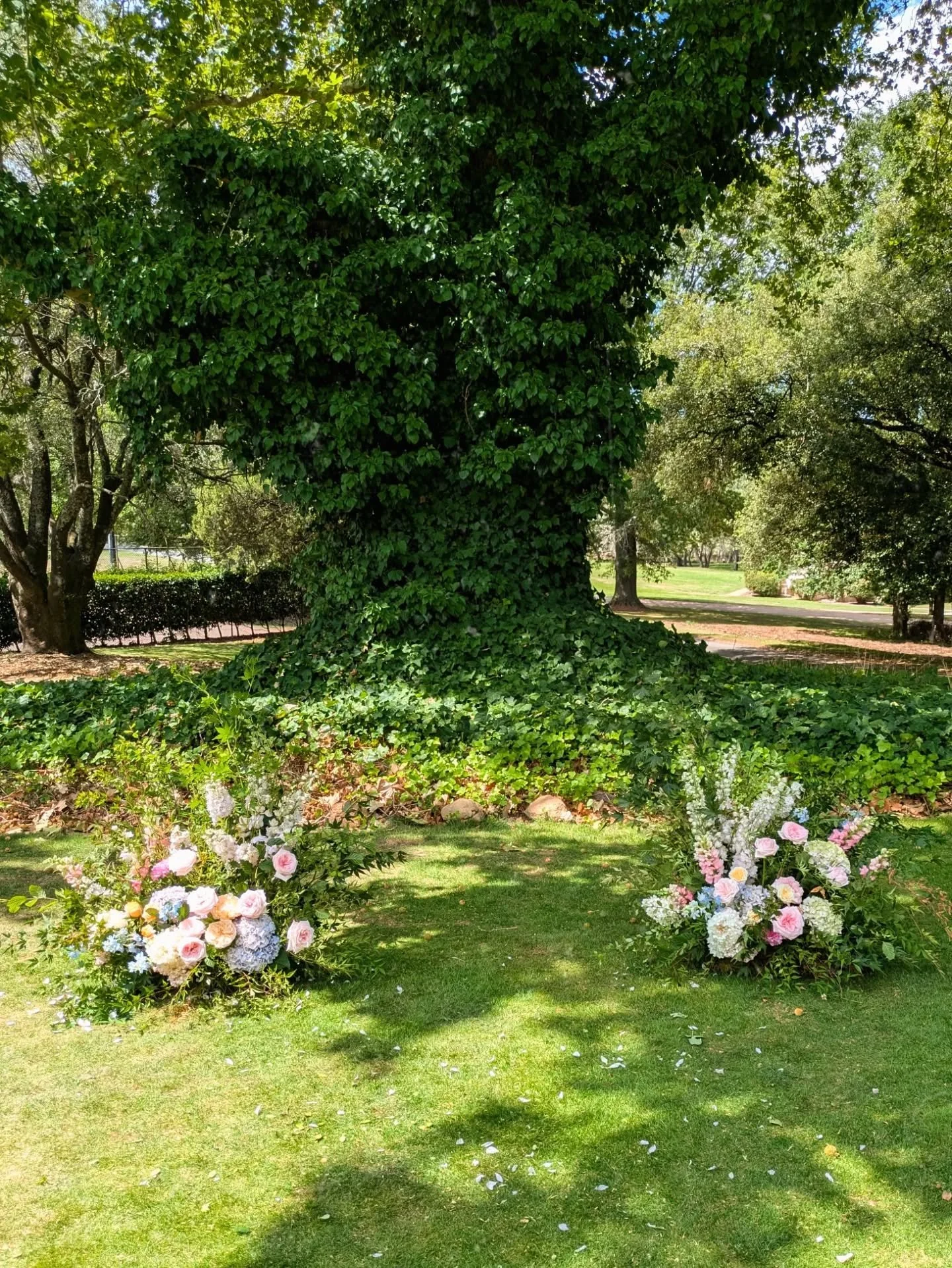 A whimsical meadow ceremony for Ashley &amp; Elias💘🪉later repurposed to frame their sweetheart table 

Thank you for letting me bring your dream florals to life 🌿

&amp; thank you to @floralsbylibby for helping me create and breathe life into thes