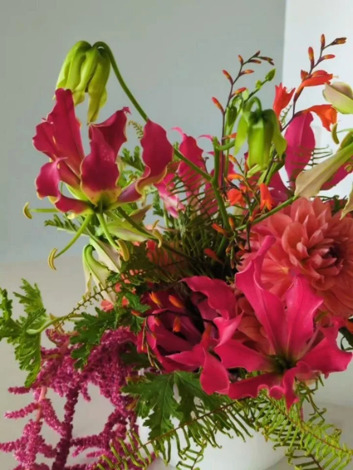 Gloriosa lily being ✨ glorious ✨