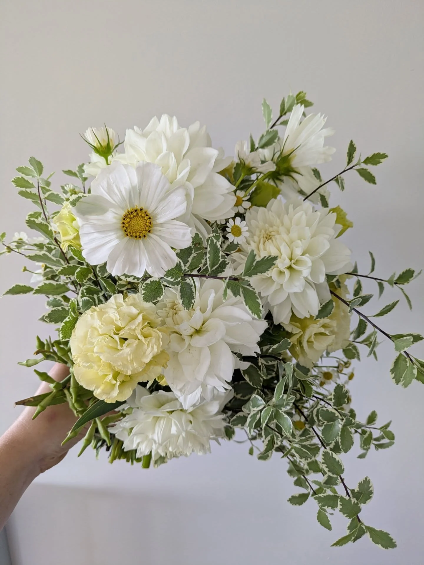 🤍🌿🍋 ~ Just for fun ~ 🍋🌿🤍