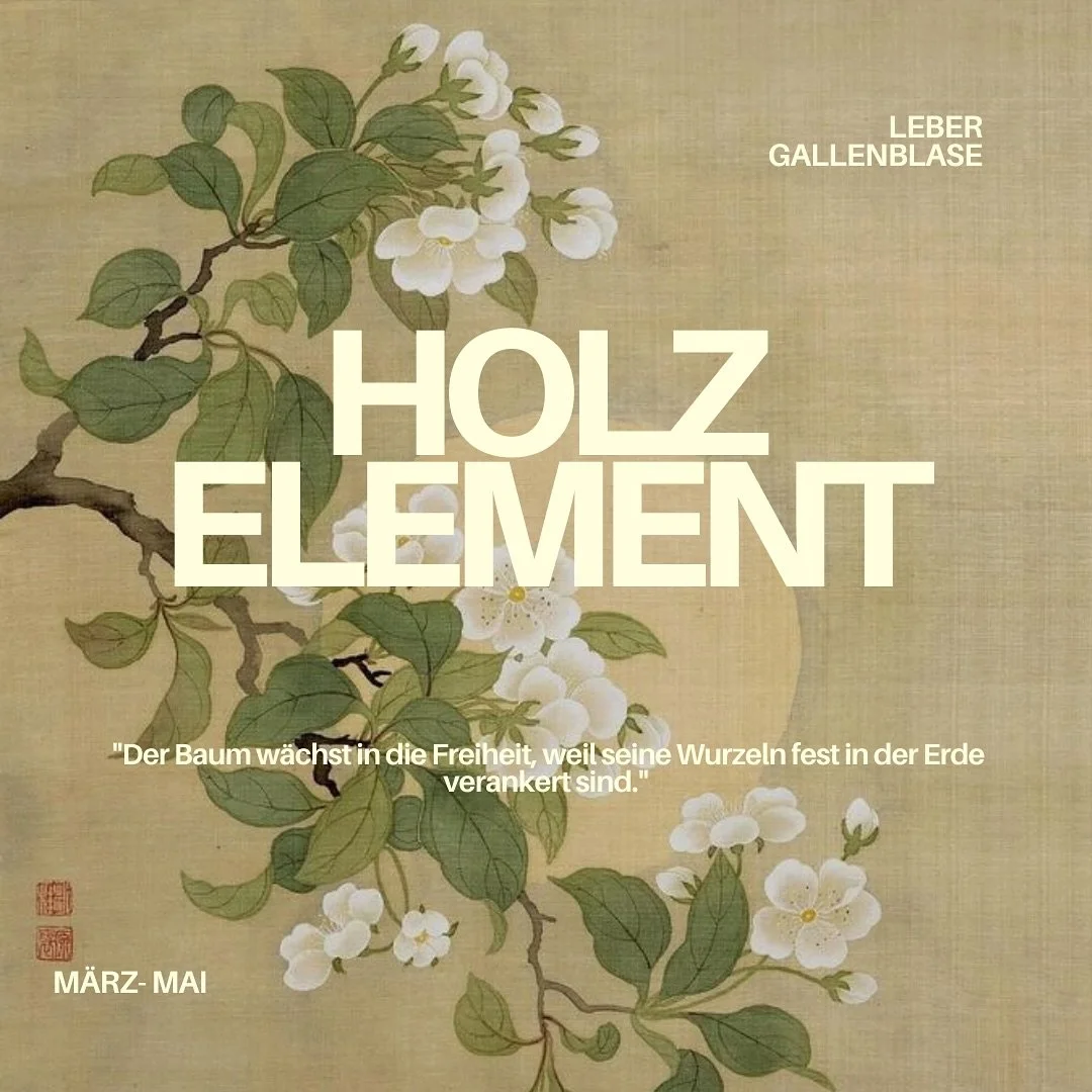 Das Holzelement erwachst im Fr&uuml;hling und somit auch in uns 🌿🪵🌳

#holzelement #traditionellchinesischemedizin #tcm #wellbeing #gesundheit #alternative #qigong #yoga #tanzen #mandalakunst #meridiane #leitbahnendeinesk&ouml;rpers #leber #gallenb