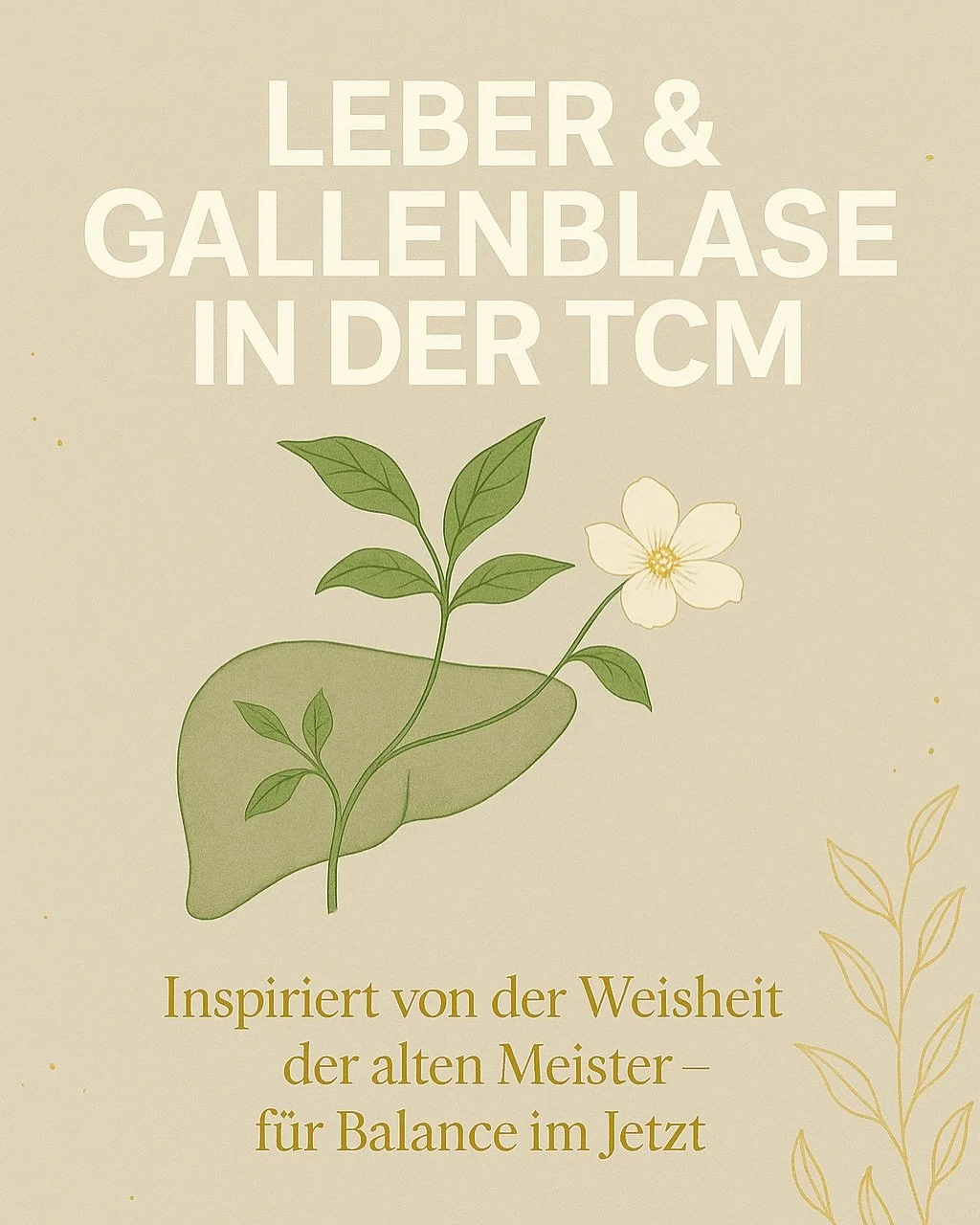 &bdquo;Die Leber ist der General. Die Gallenblase sein mutiger Berater.&ldquo;
&ndash; Huang Di Nei Jing

In der Traditionellen Chinesischen Medizin gelten Leber und Gallenblase als die Organe des Holz-Elements. Sie sind das Zentrum f&uuml;r Vision, 