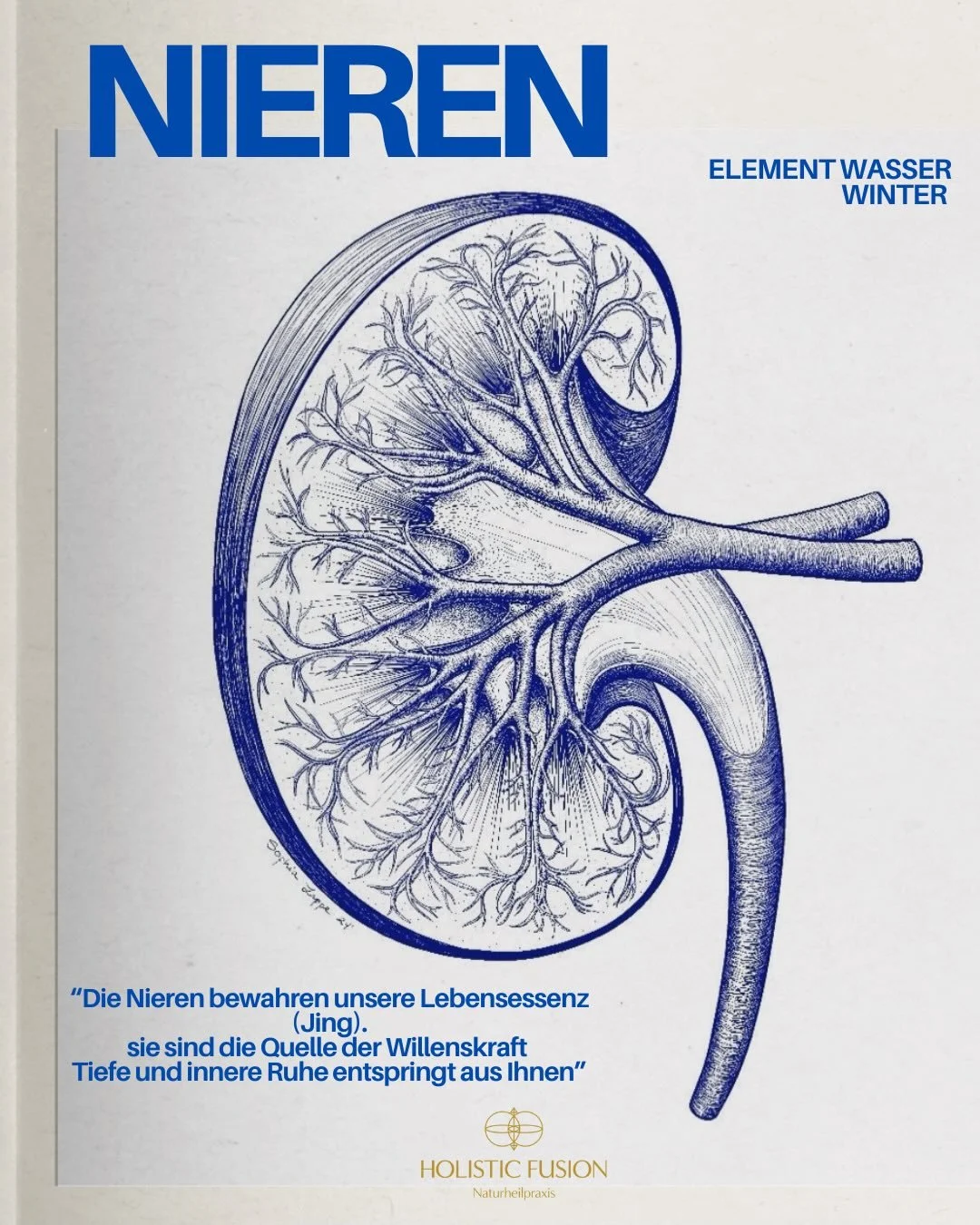 🌊 Die Nieren tragen deine tiefste Geschichte.

In der TCM sind sie der Ort,
an dem Urvertrauen wohnt.
Wo Angst entsteht &ndash; und Heilung beginnt.

Wenn deine Nieren ersch&ouml;pft sind,
ist es oft nicht dein K&ouml;rper, der m&uuml;de ist,
sonder