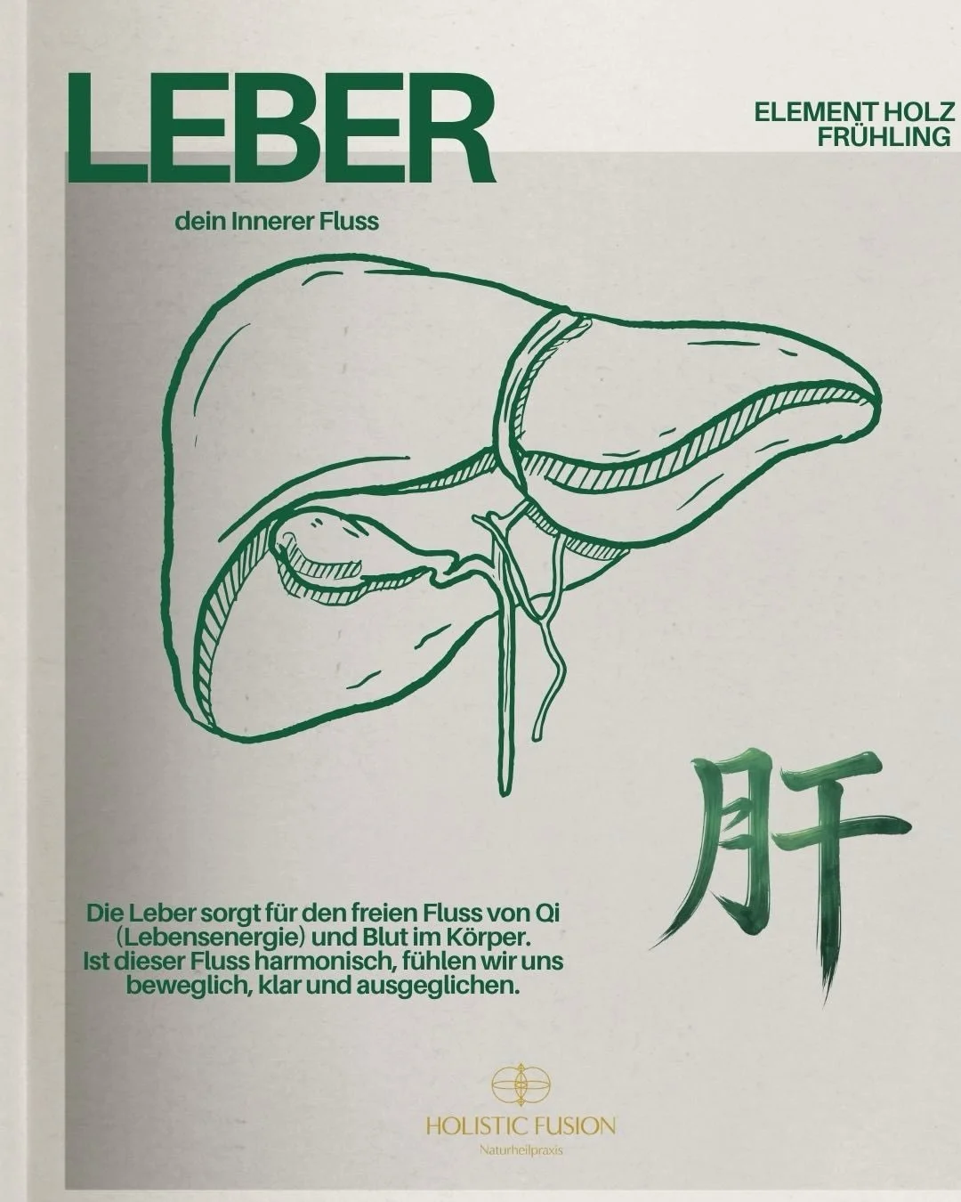 Sometimes compassion is all that&rsquo;s needed for anger to be soothed 🌱🤍

#liver #springcleanse #tcmern&auml;hrung #holzelement #womenshealth