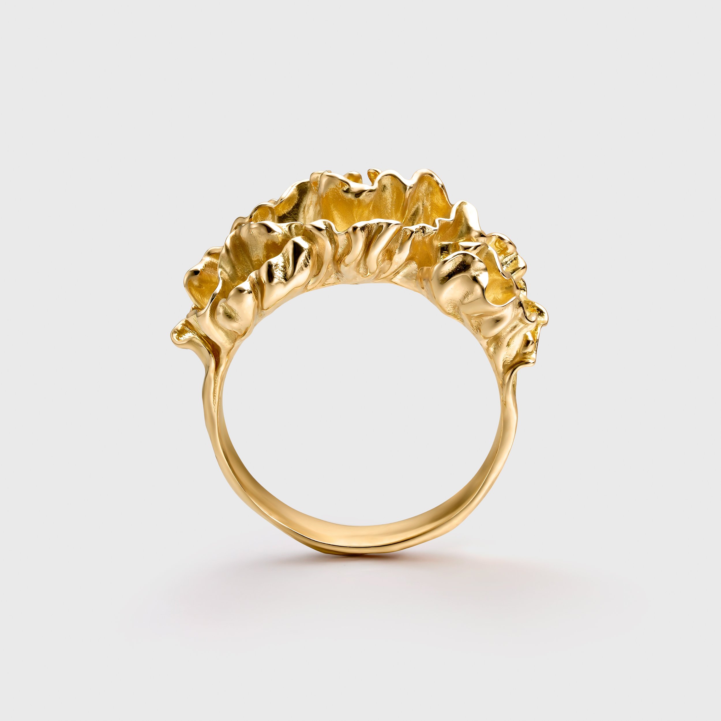 Anillo 9_alt-1.jpg