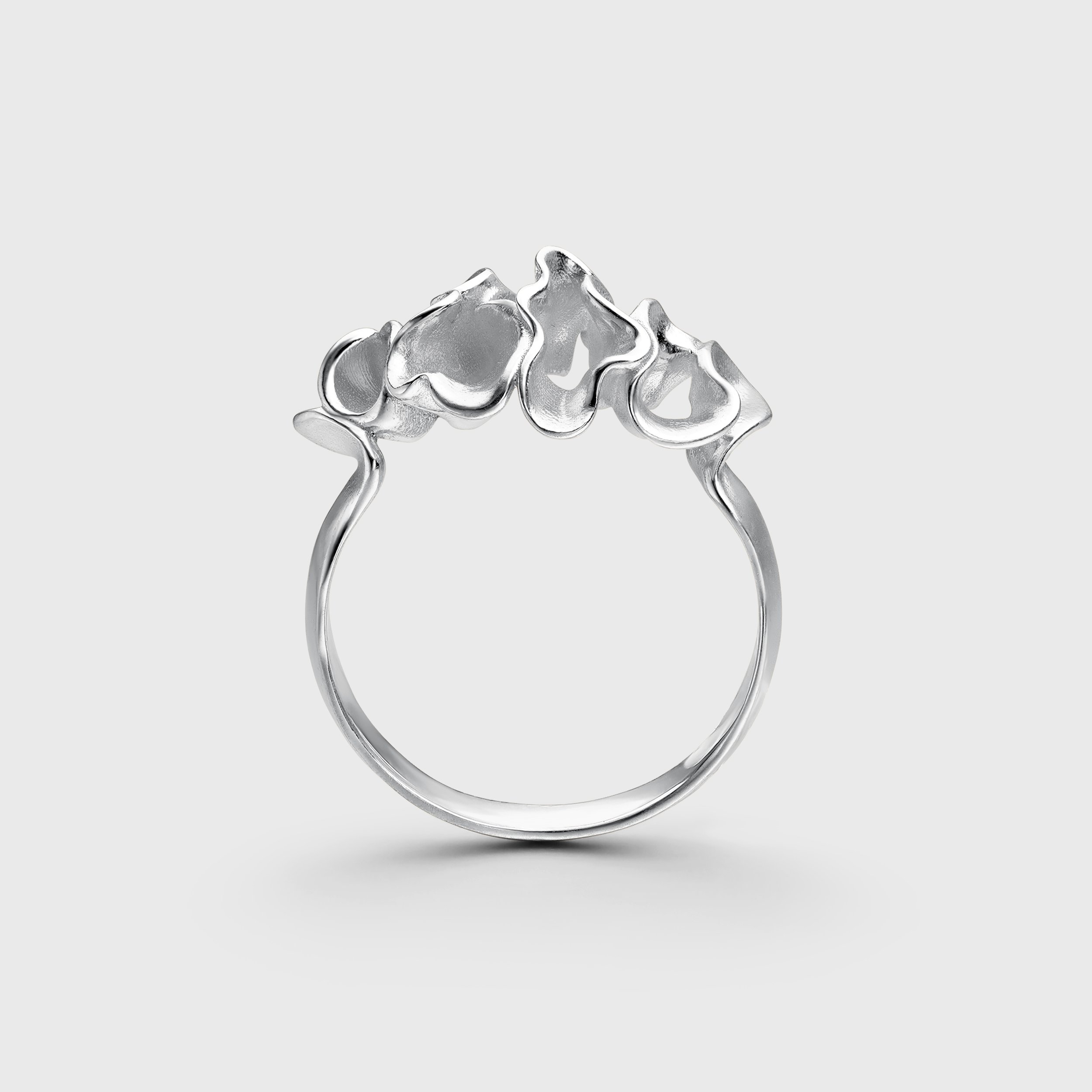 Anillo 5. 2_alt-1_pl.jpg