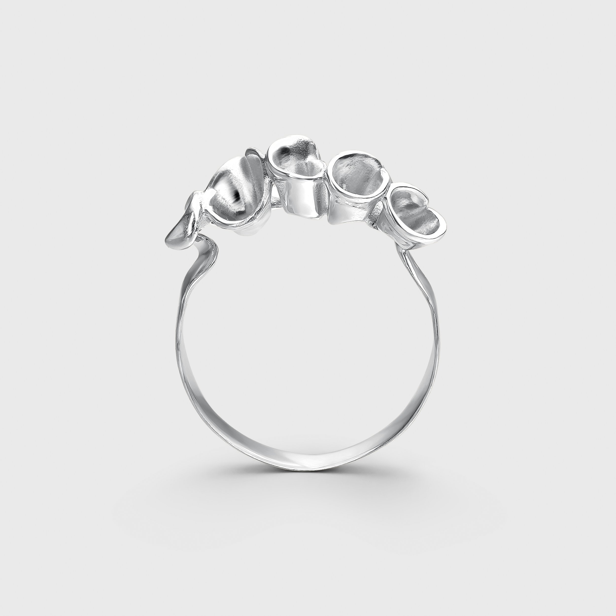Anillo 5_alt-1_pl.jpg