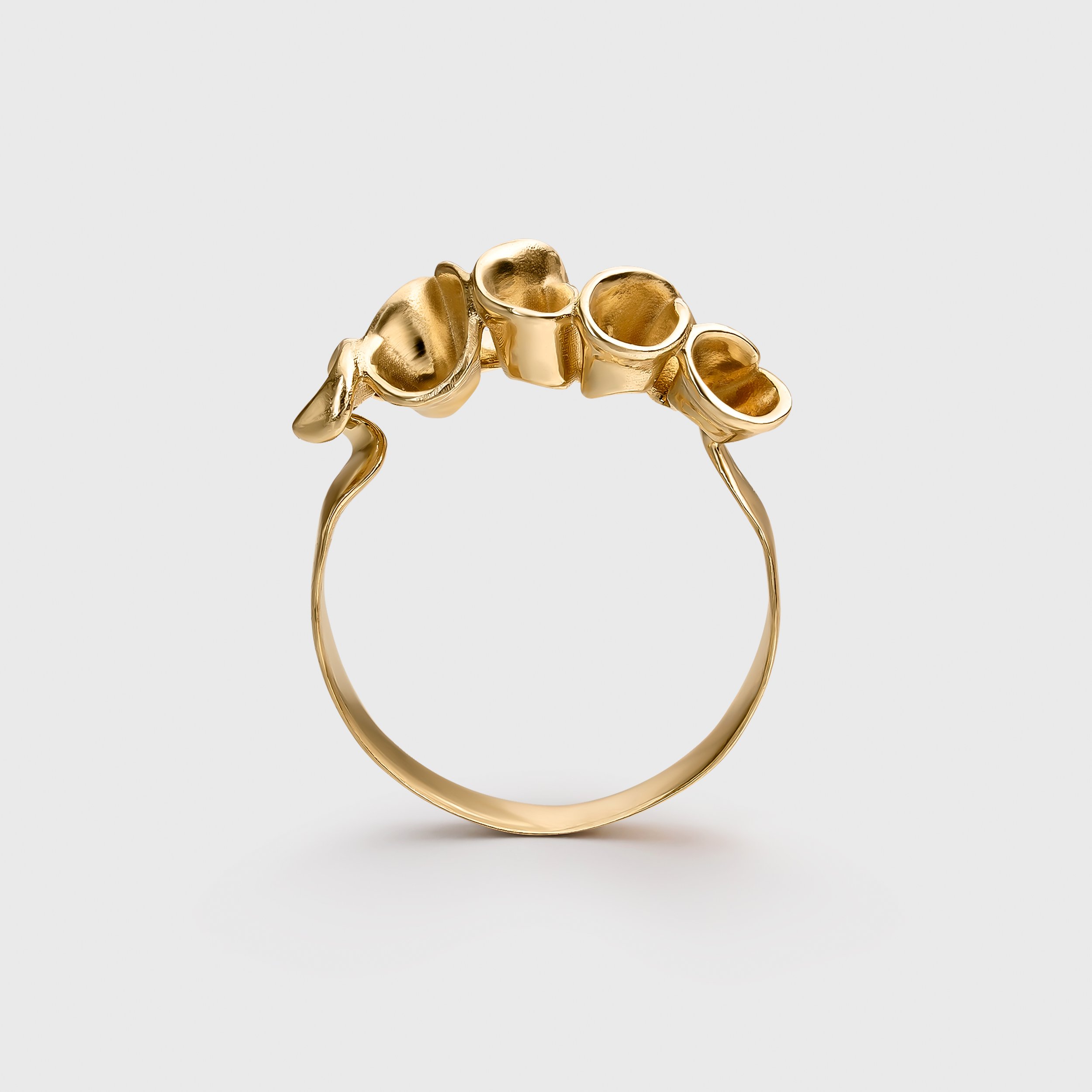Anillo 5_alt-1.jpg