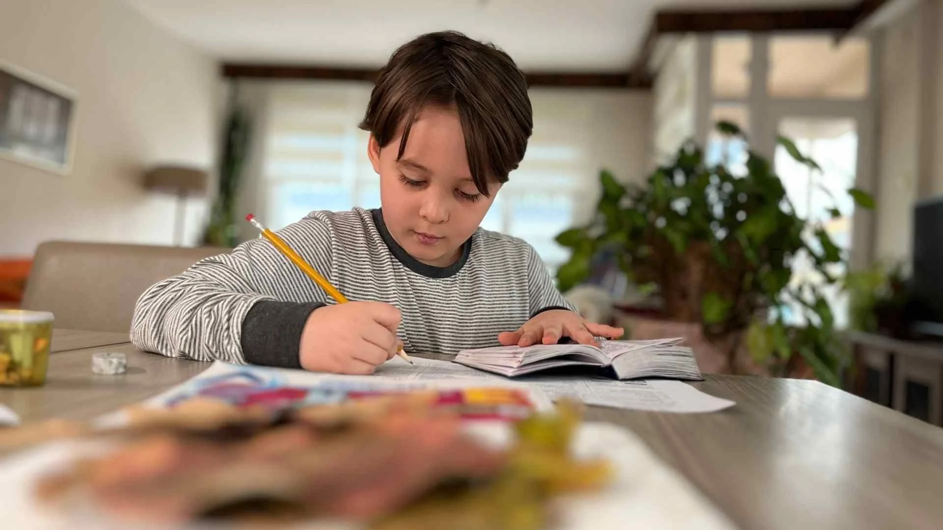 Wie Human Design meiner Klientin Anna half, den täglichen Machtkampf mit ihrem Sohn zu lösen