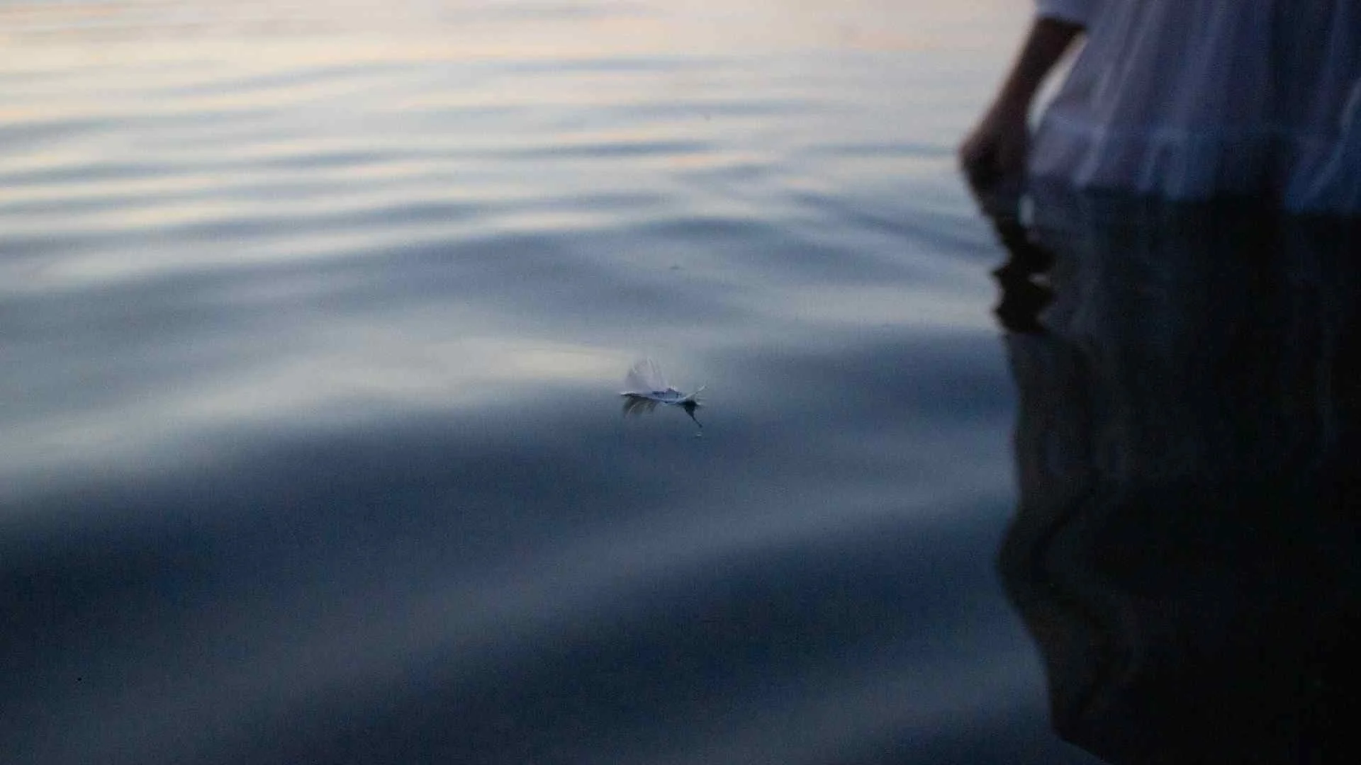 Wie Sinnkrisen sich im Kollektiv spiegeln und was Human Design damit zu tun hat!