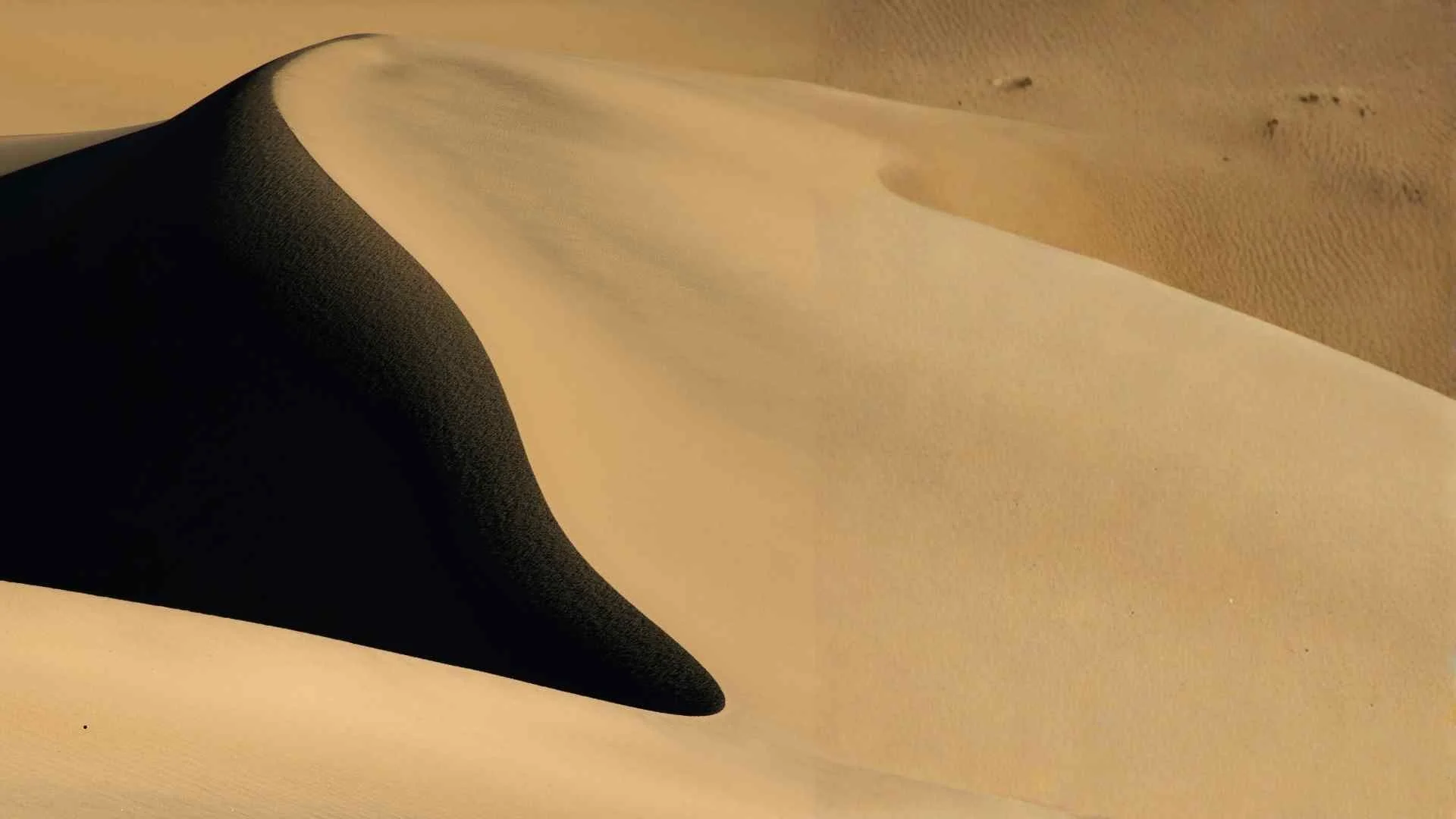 Die Bedeutung von Grenzen: Dein unterschätztes Superkraftwerk