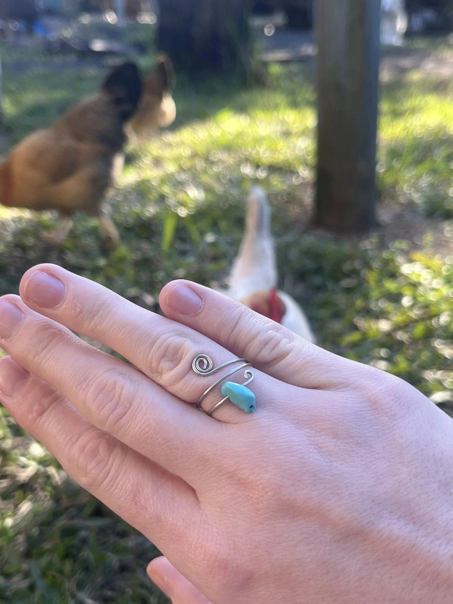 Turquoise Ring