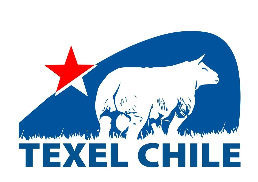Texelchile