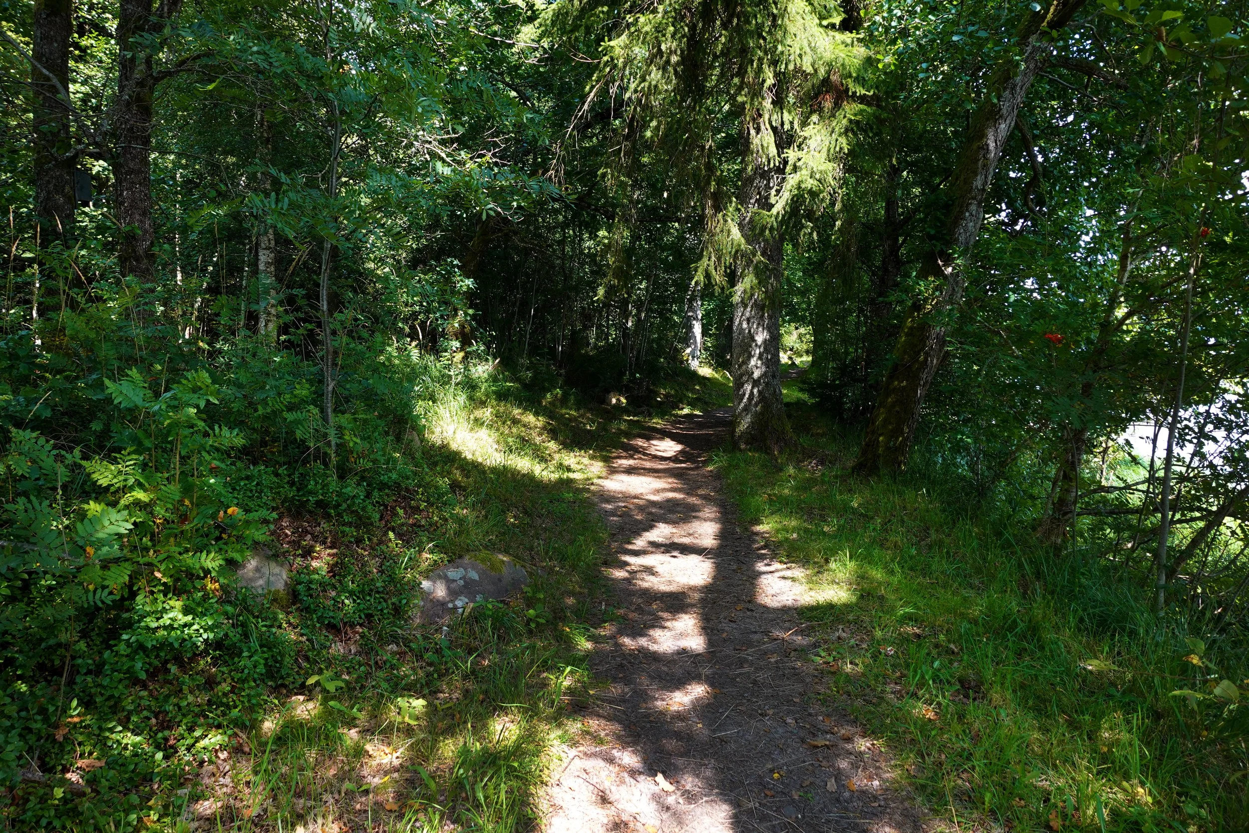 SOMMERSOLHVERV RITUAL