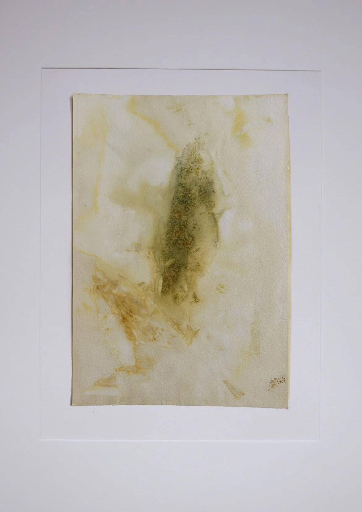 FREYA - original flower print by Shalabiya