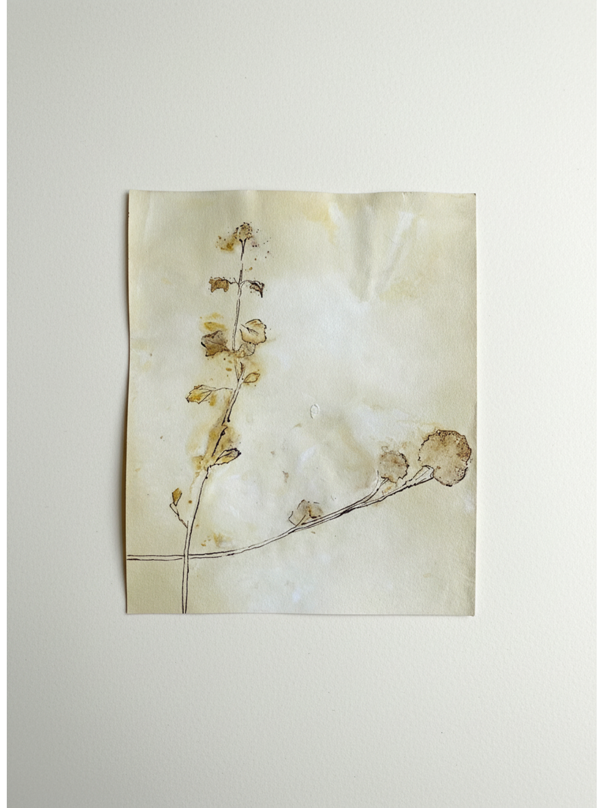 Cross roads - original flower print and ink by Shalabiya