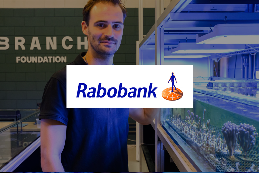 BRANCH Foundation featured by Rabobank