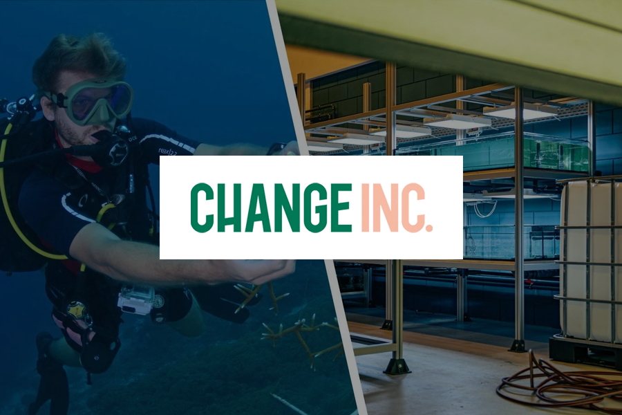 BRANCH Foundation featured in Change.inc for the first time