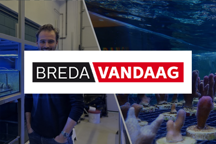 BRANCH Foundation featured in Breda Vandaag