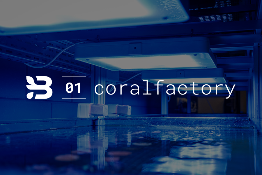 CoralFactory, the land-based coral nursery and innovation hub of BRANCH in Utrecht