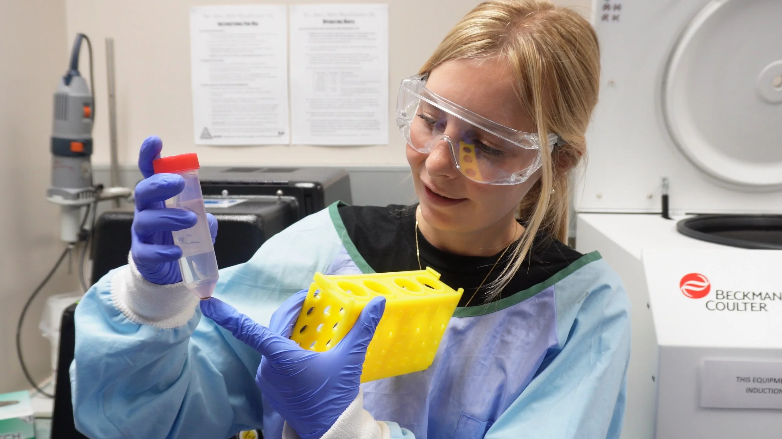 Researcher handling cultures of heat-tolerant coral algae