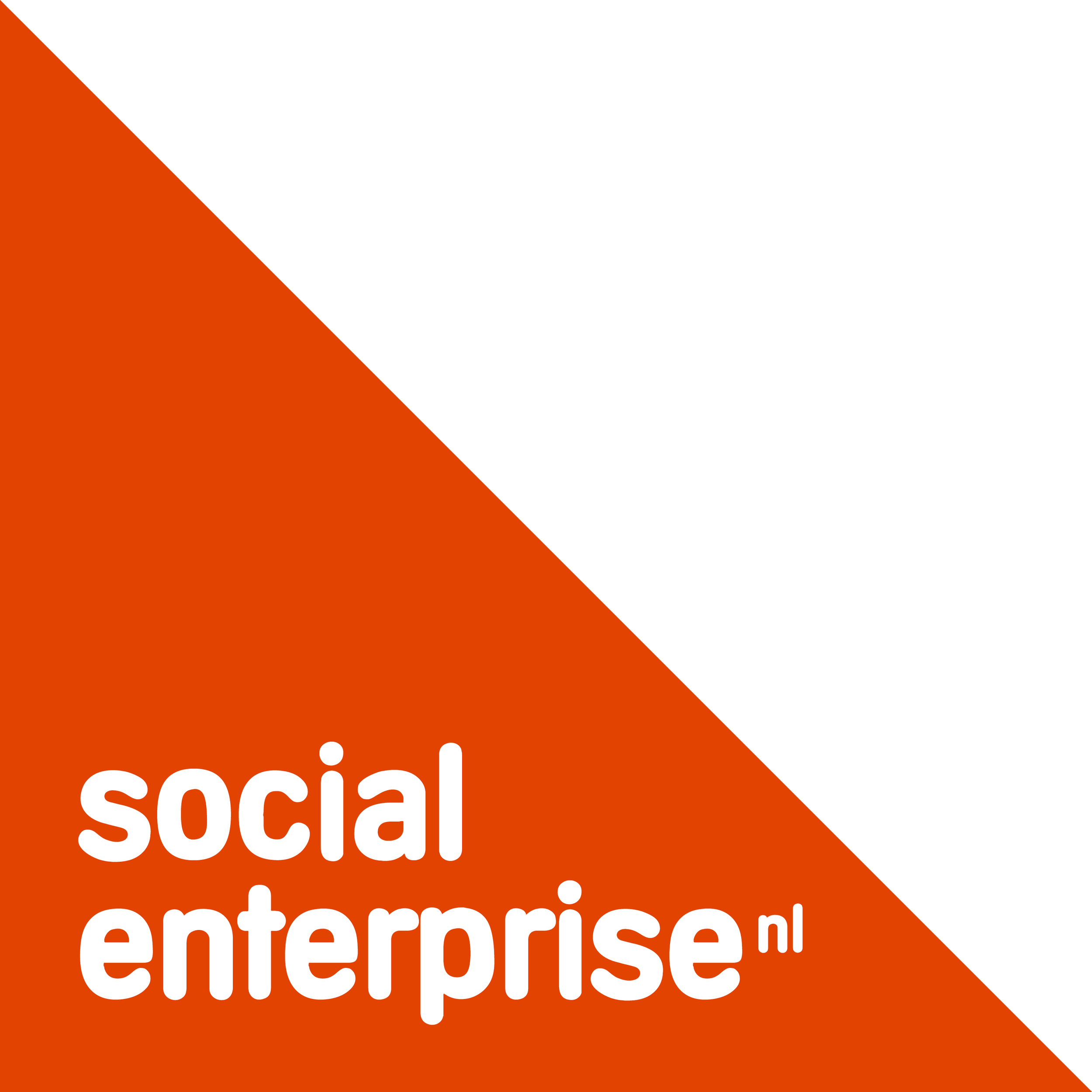 Social Enterprise NL logo, BRANCH is a member