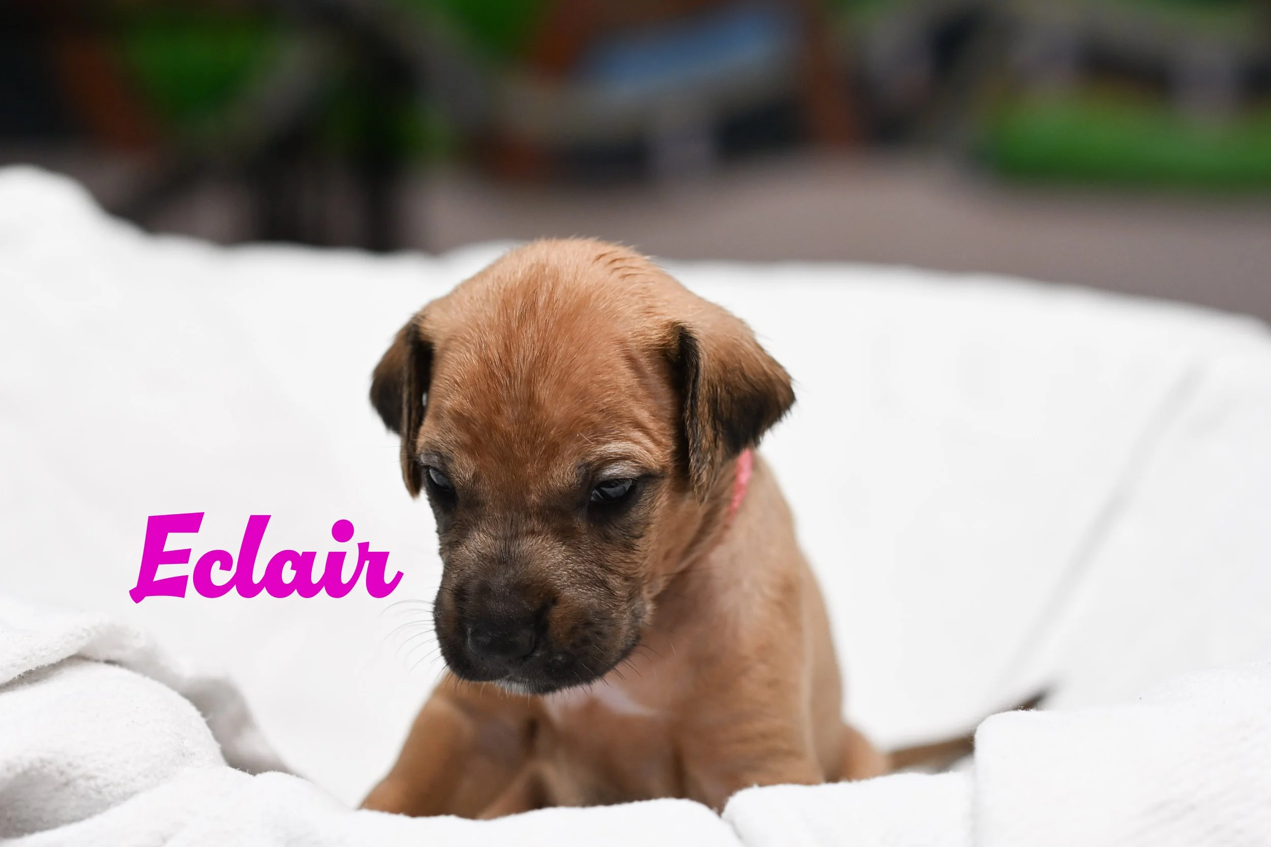 @ 3 weeks old