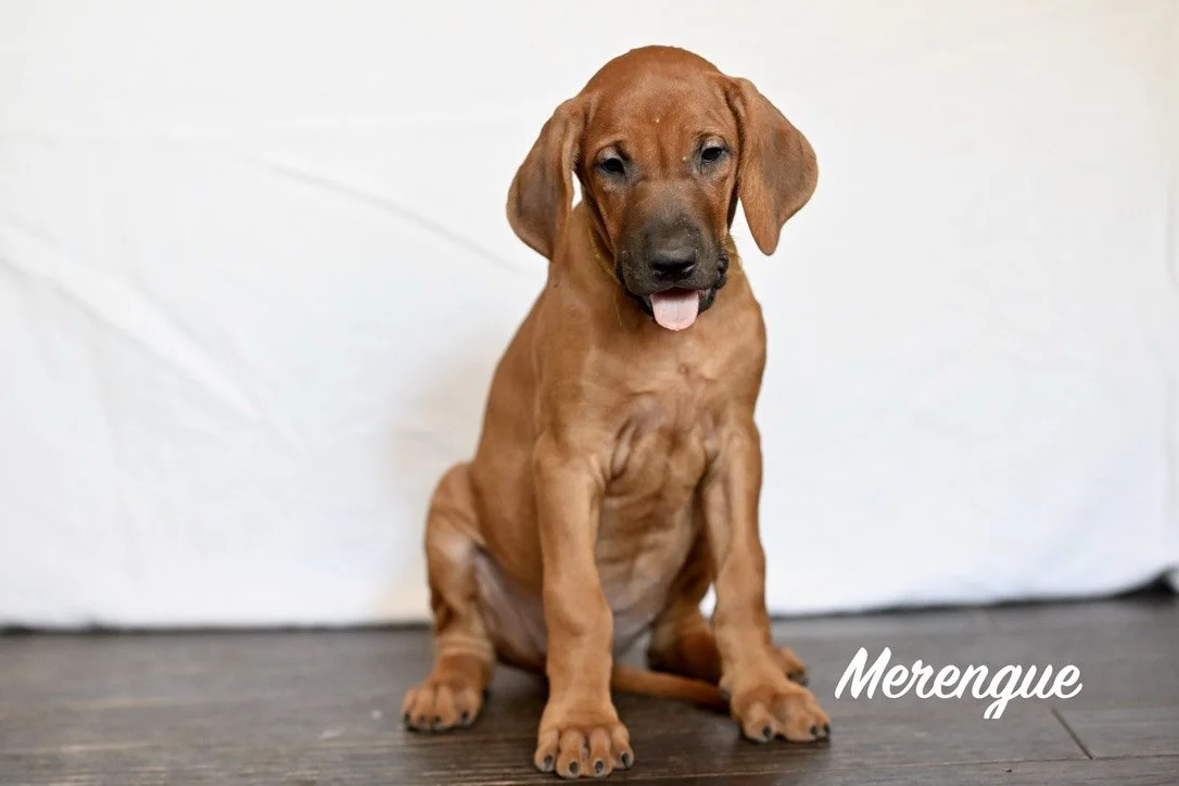 That tongue @ 9 weeks