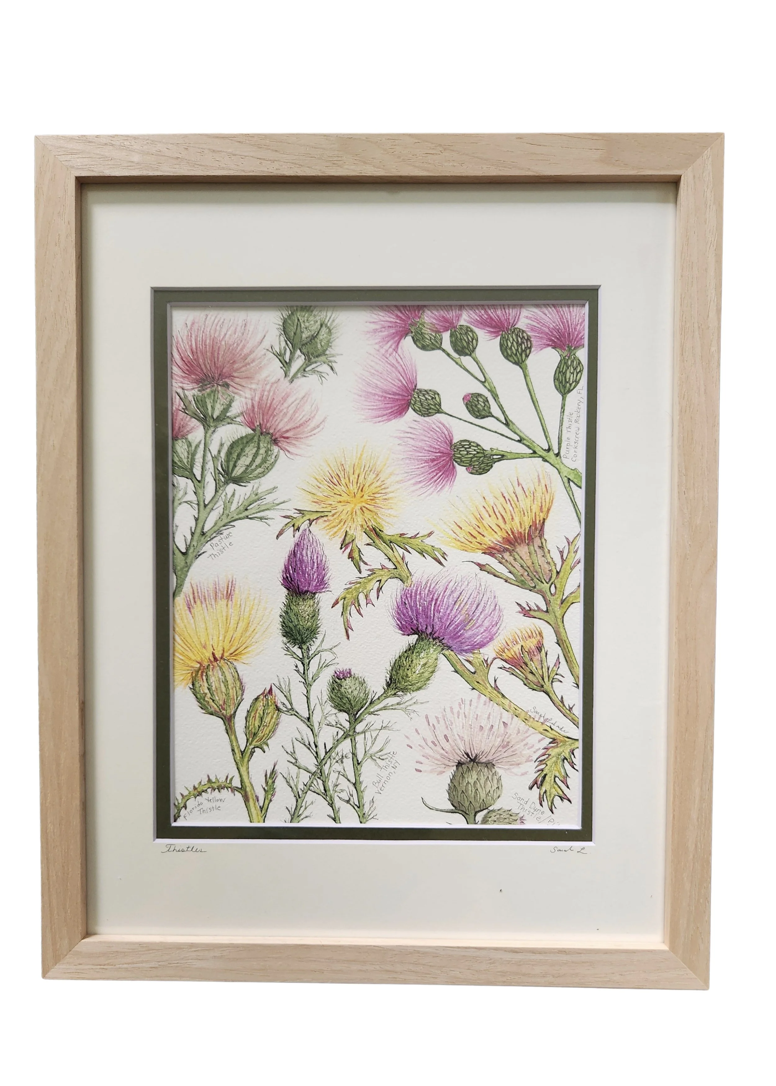 thistles.002.jpeg
