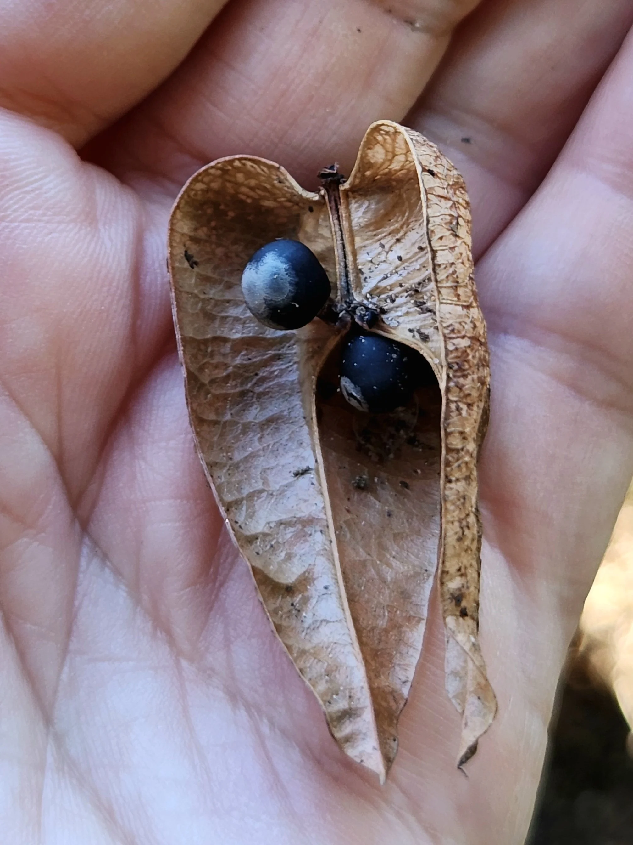 20250911_124057.jpg