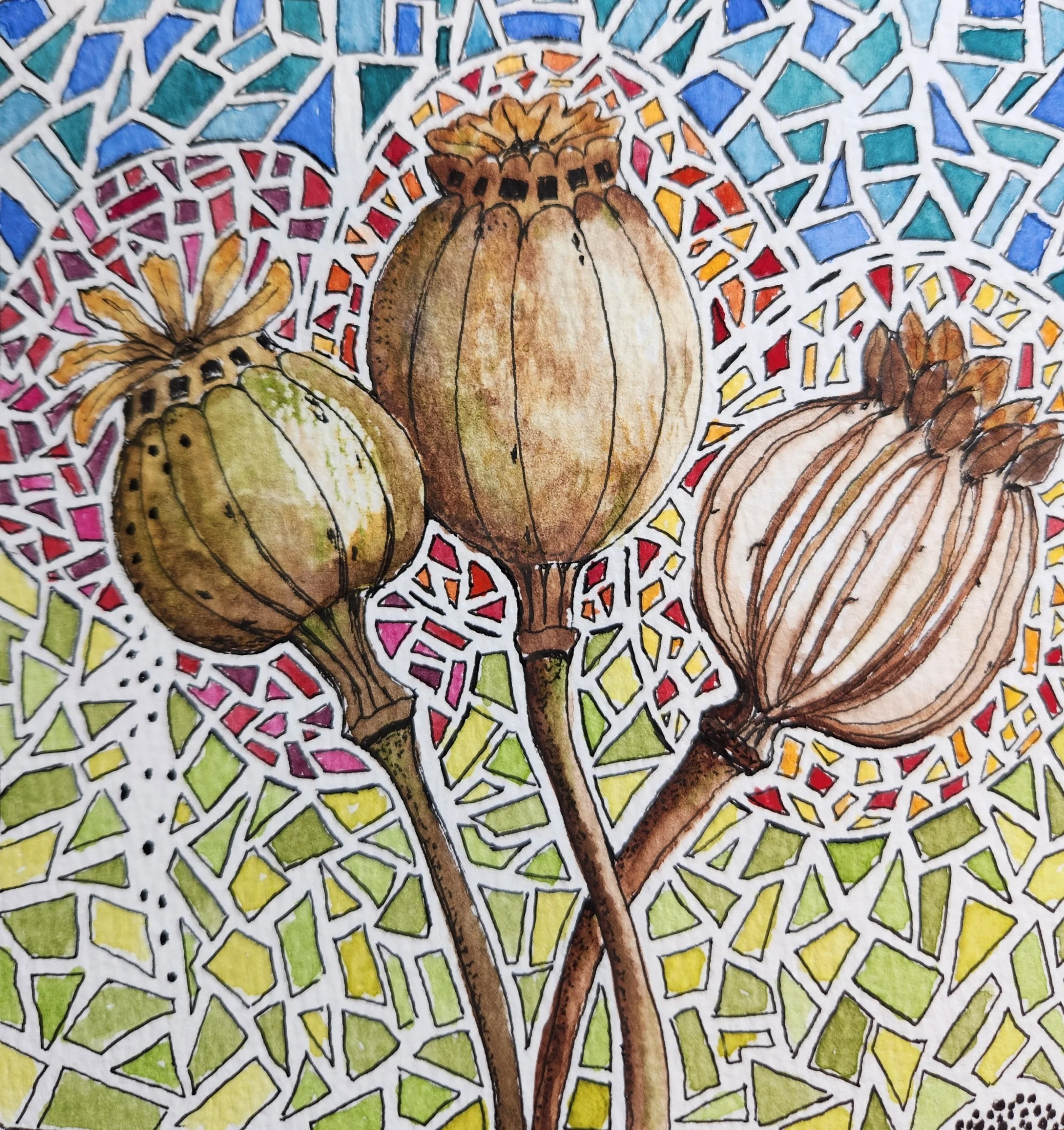 poppy pods.jpg