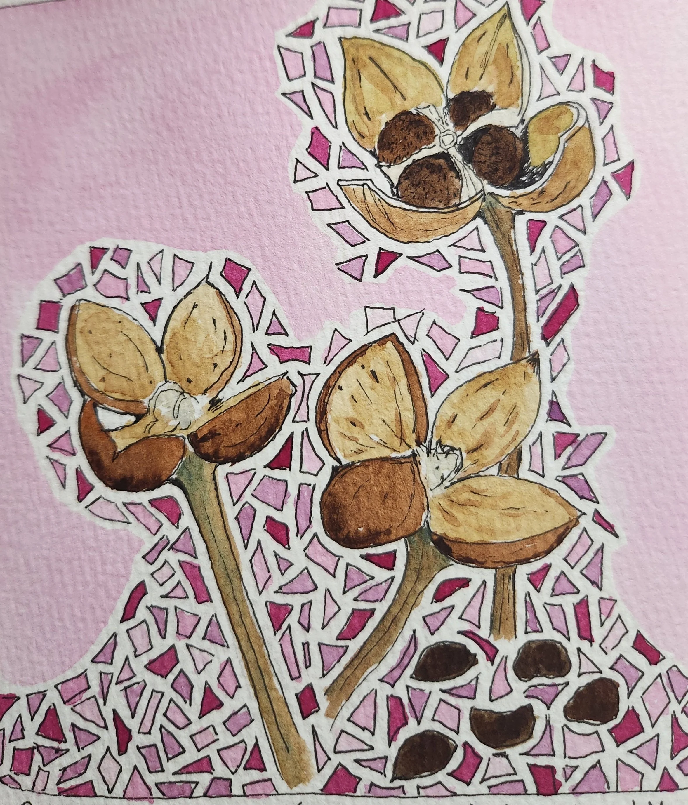 railroad seed pod.jpg