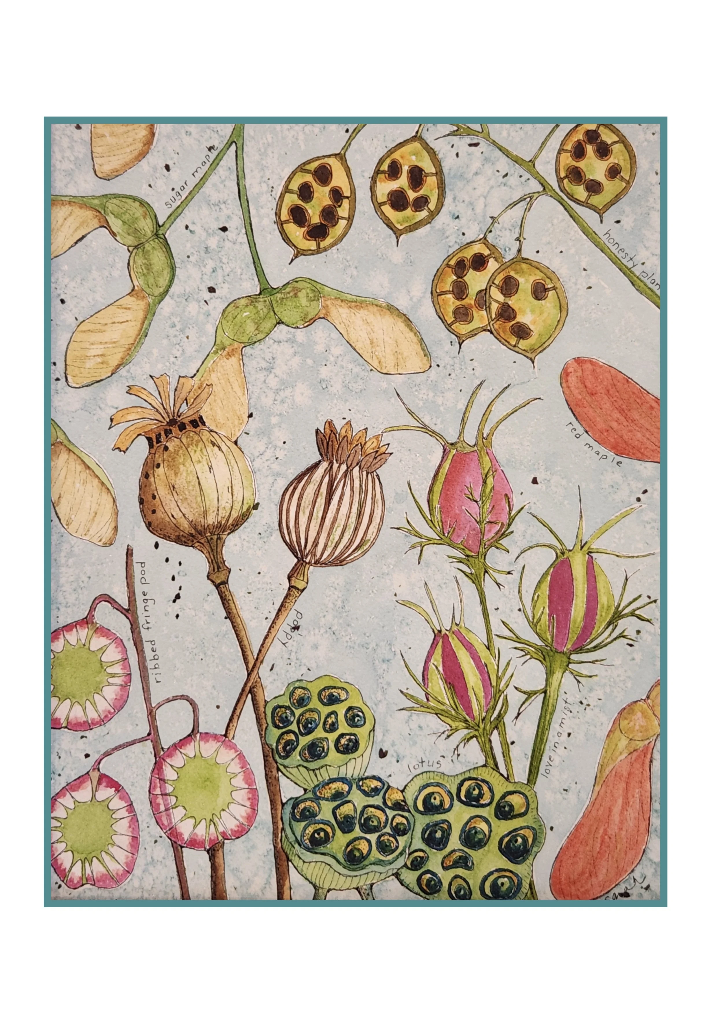 Pods-and-promises-Sarah-Lalonde-watercolor-artist.3.jpeg