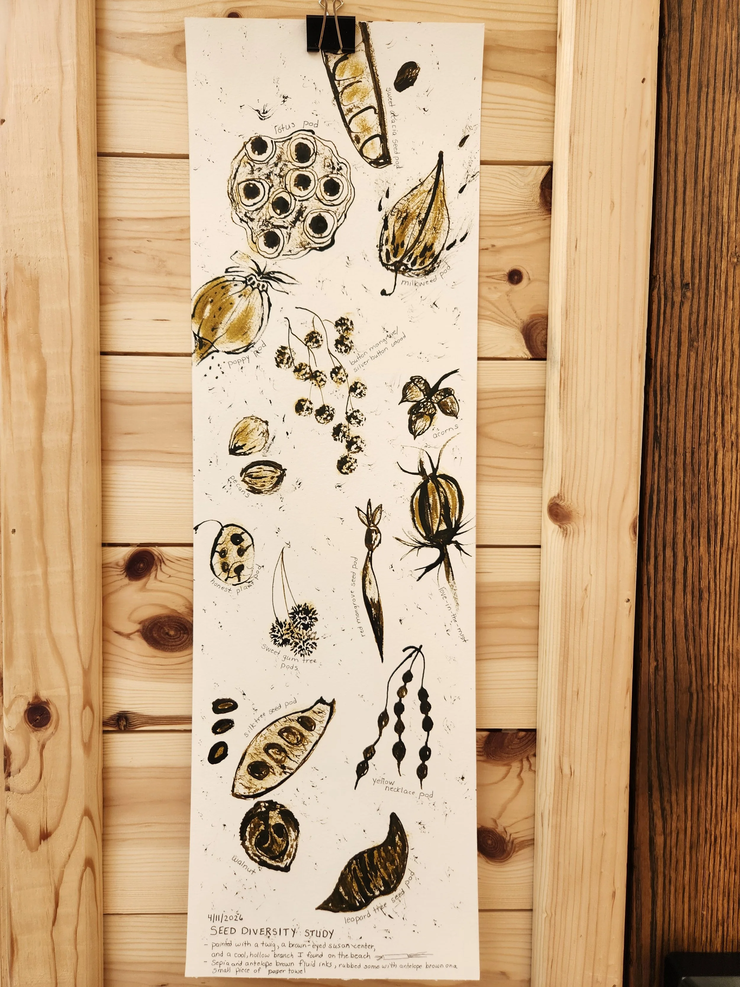 seed study.jpg