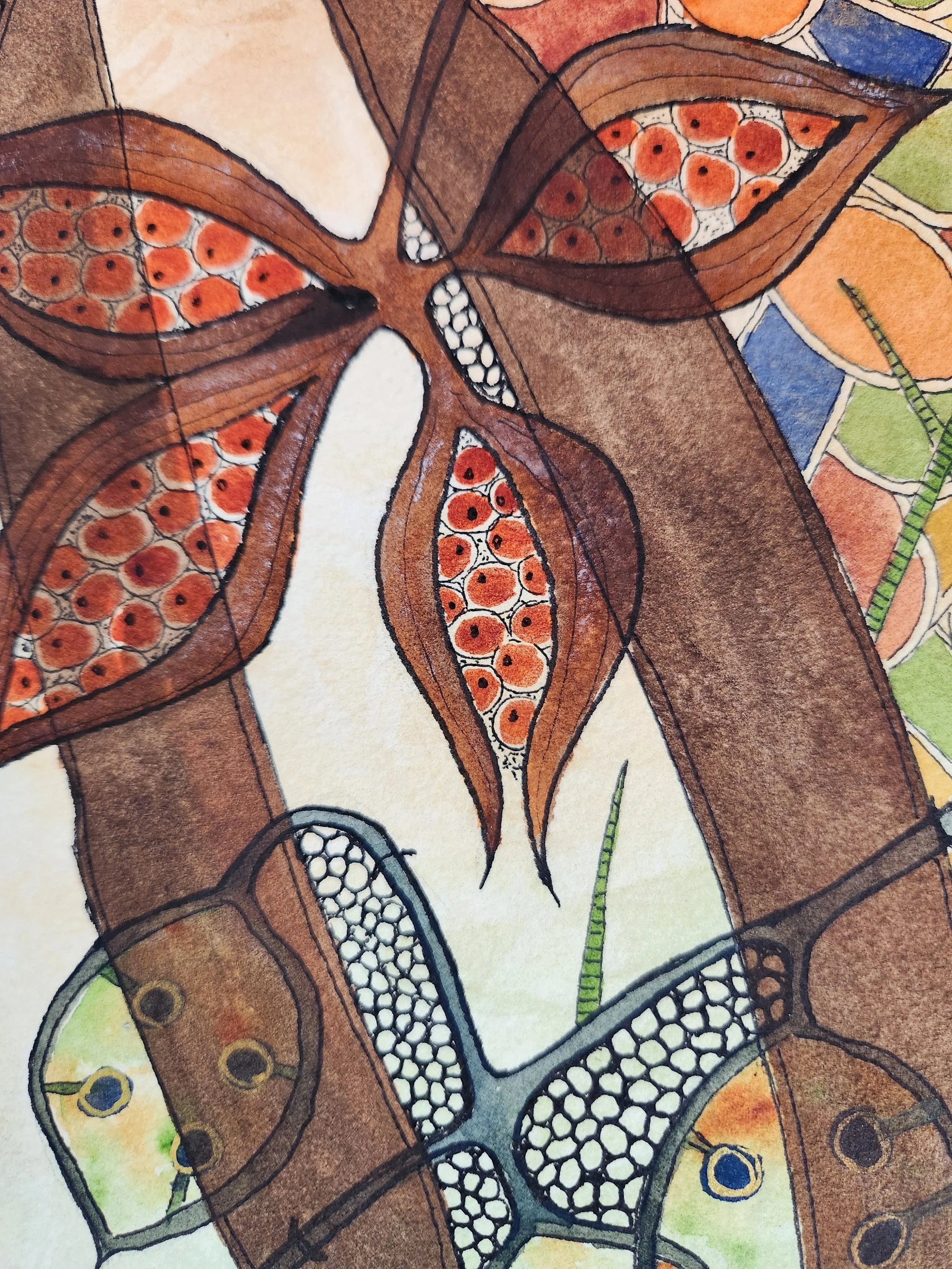 vessels of wonder -5.jpg