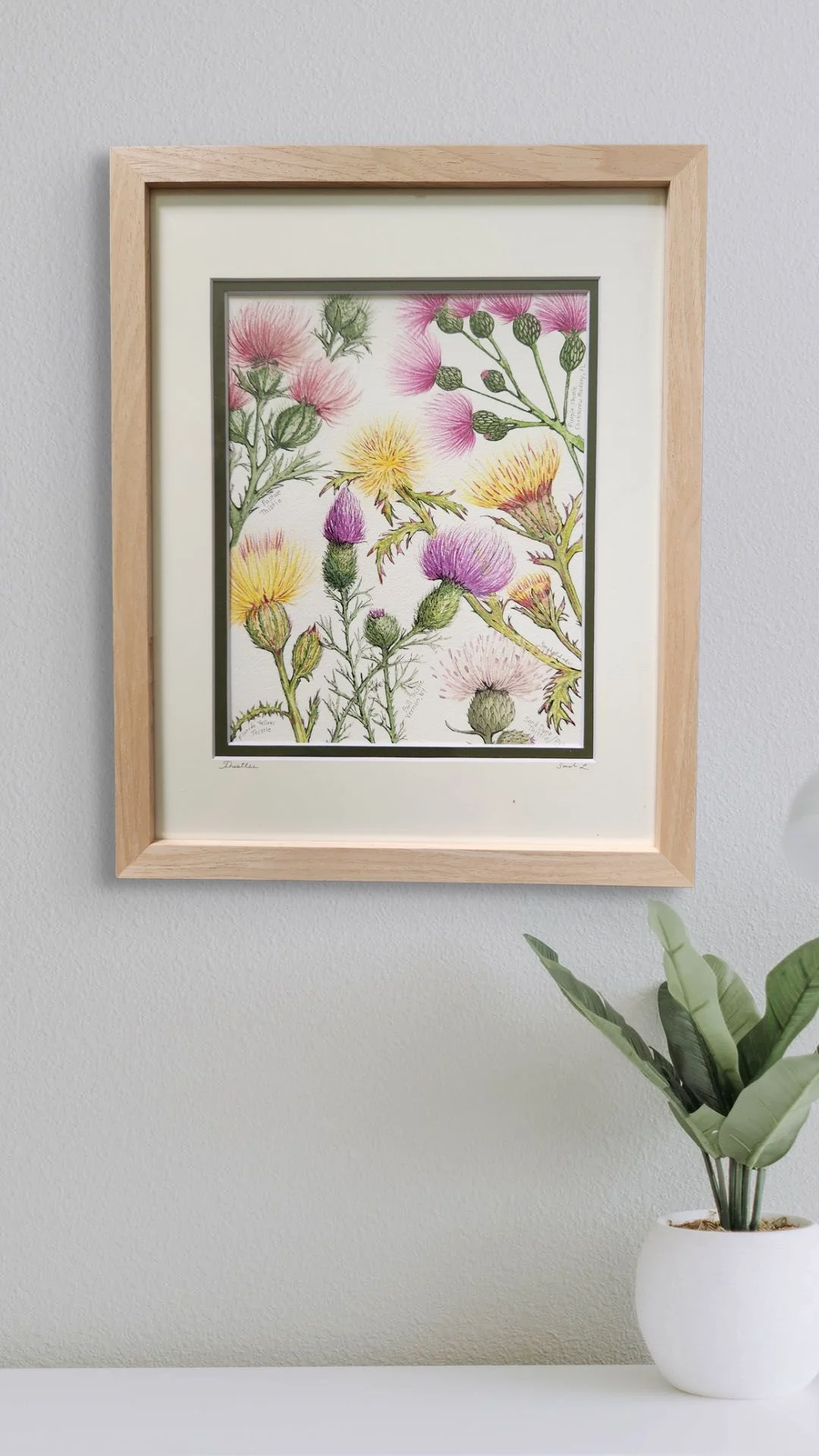 thistles-thistles-watercolor-sarah-lalonde.jpg