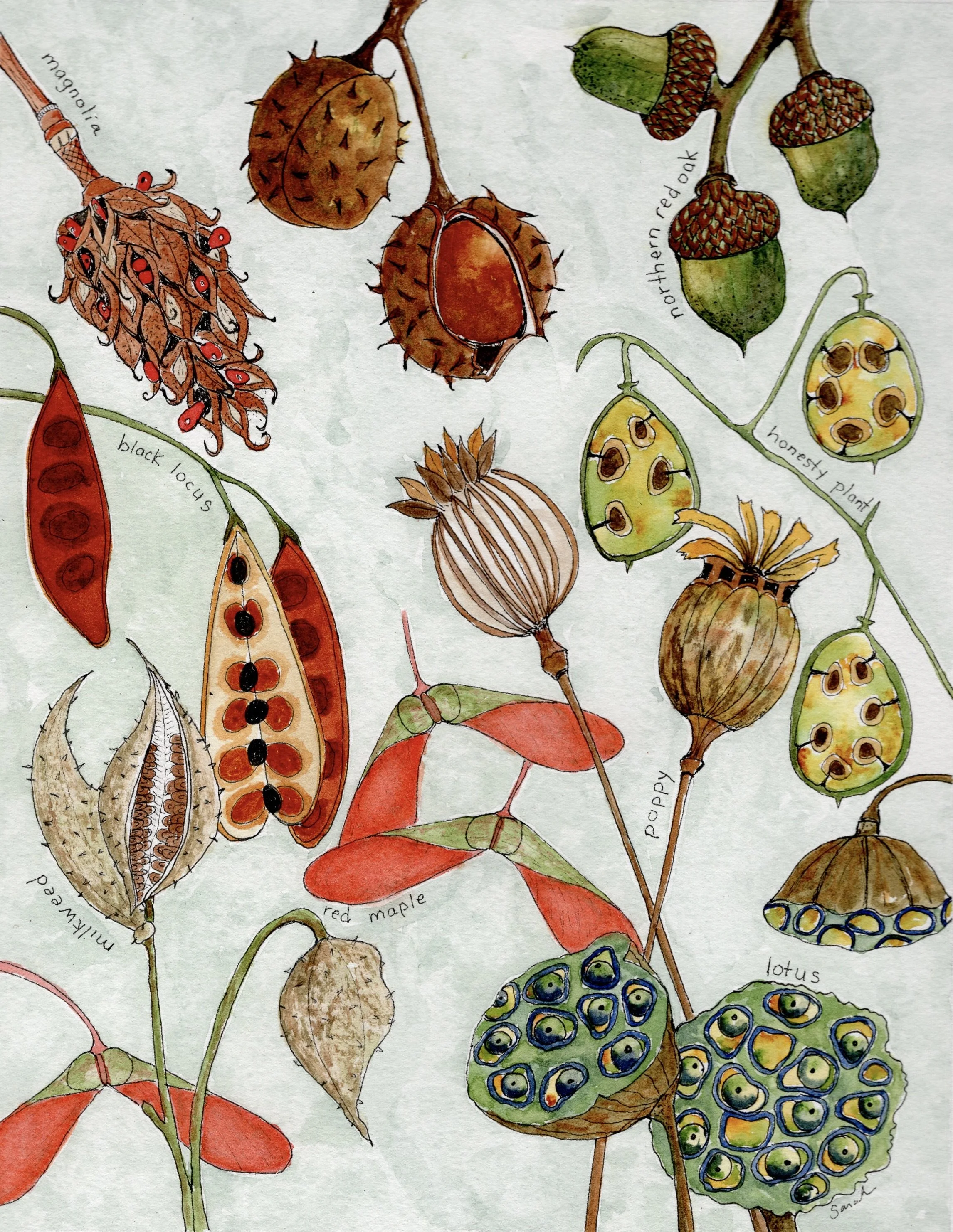 Seeds of Possibilities II-jpg.jpg