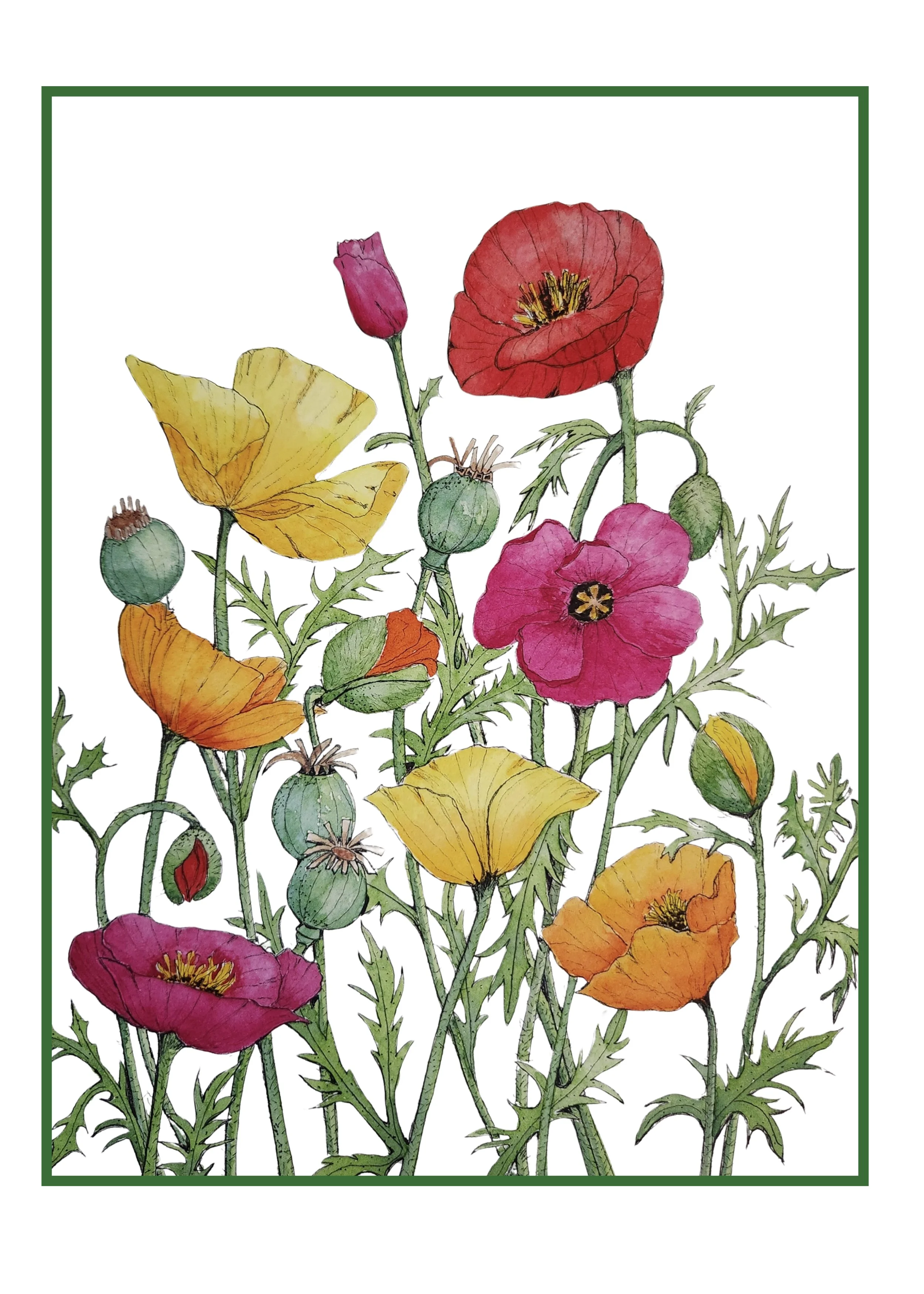 sunlit-poppies-watercolor-sarah-lalonde.001.jpeg